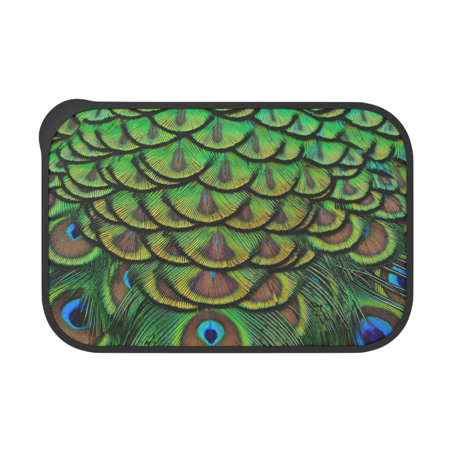 Bento Box with Utensils - Lovely Green Peacock Feathers