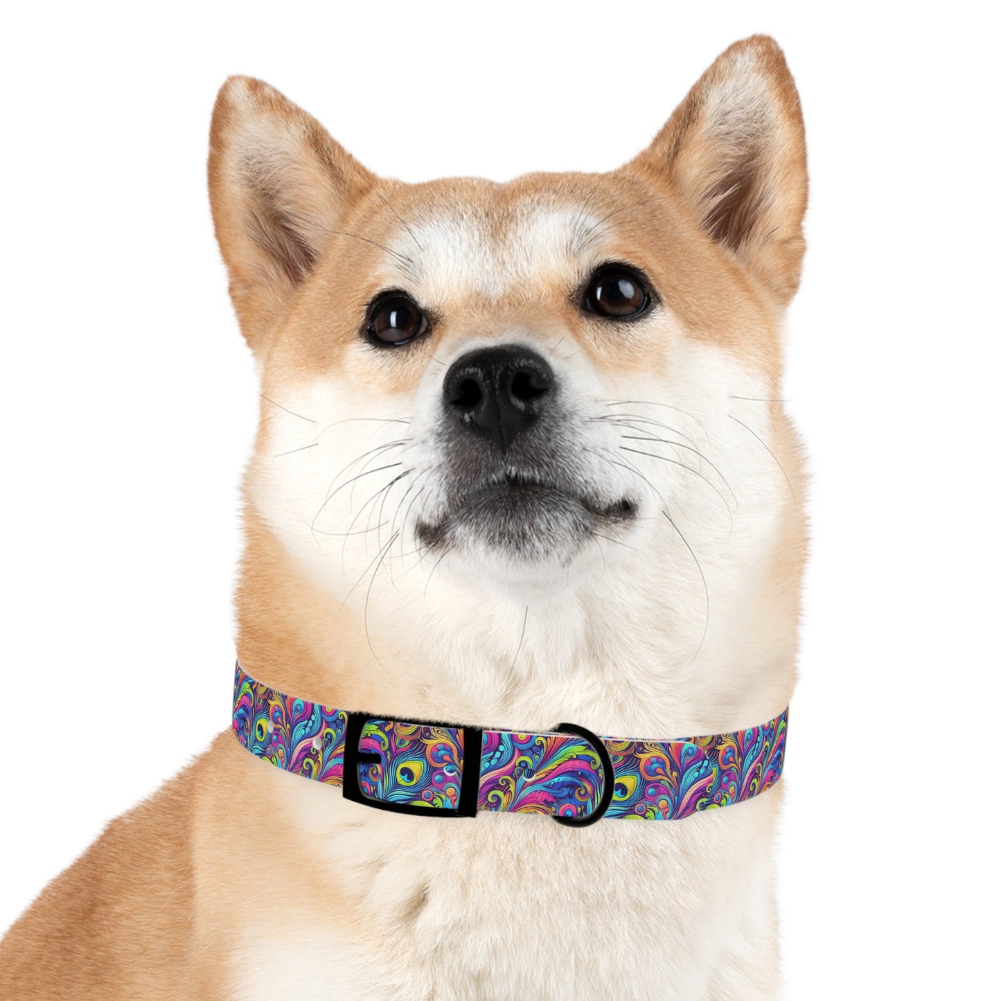 Tropical Dog Collar - Fun and Playful Pet Accessory / Feather Currents Pop