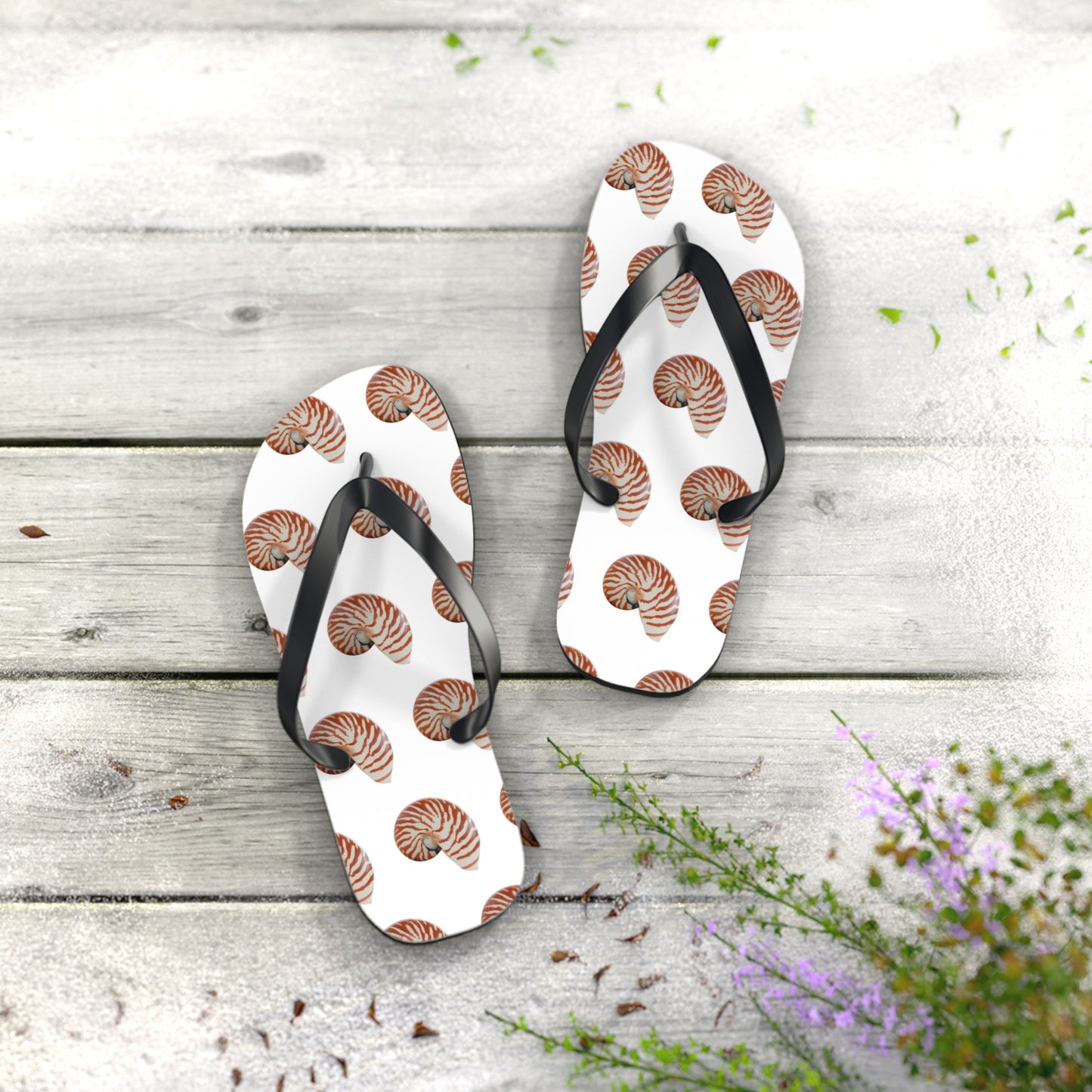 Flip Flops - Tiger Stripe Nautilus Shell