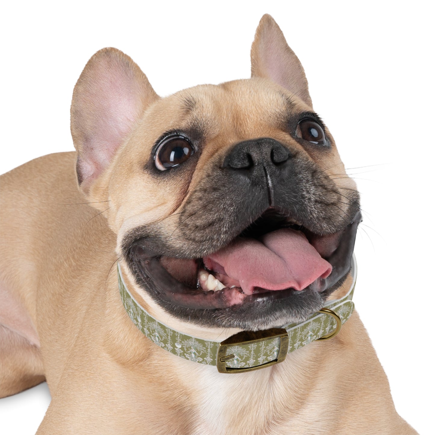 Dog Collar - Pearl Lady Toile, highborn green