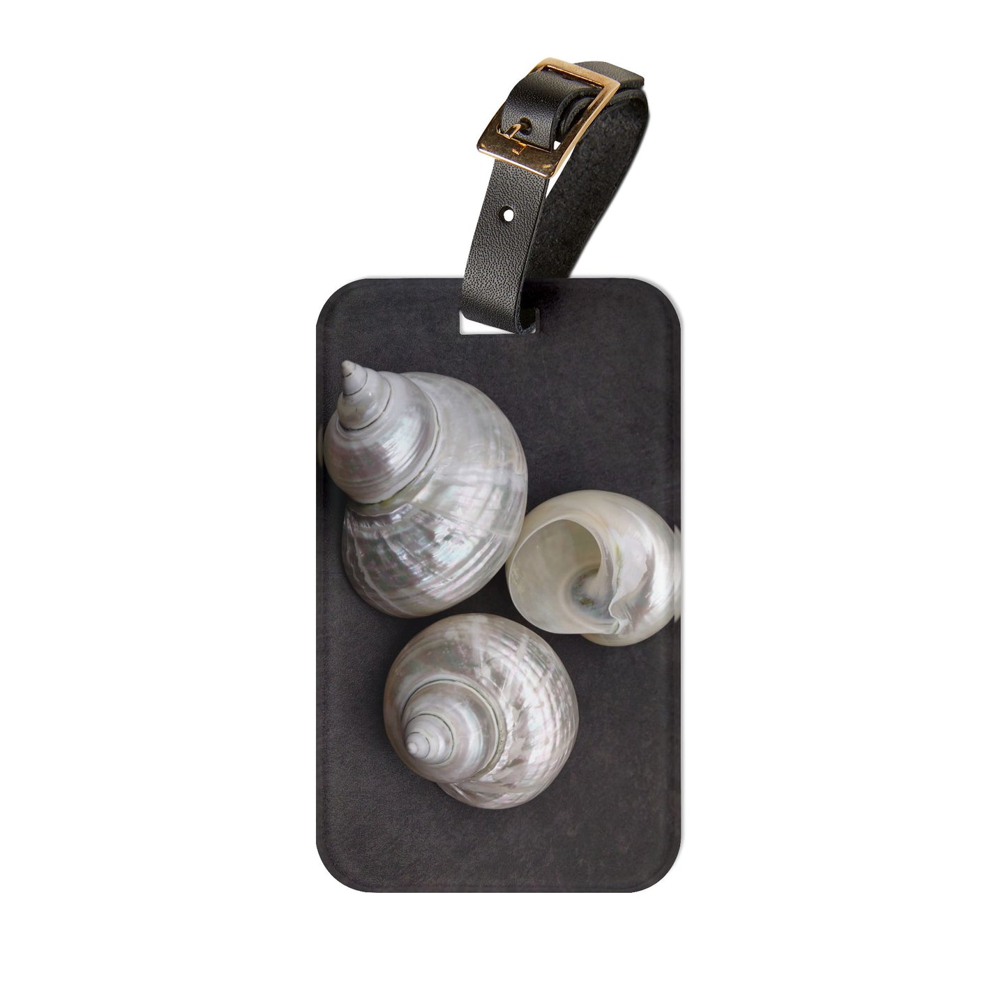 Luggage Tag - White Nautilus Trio