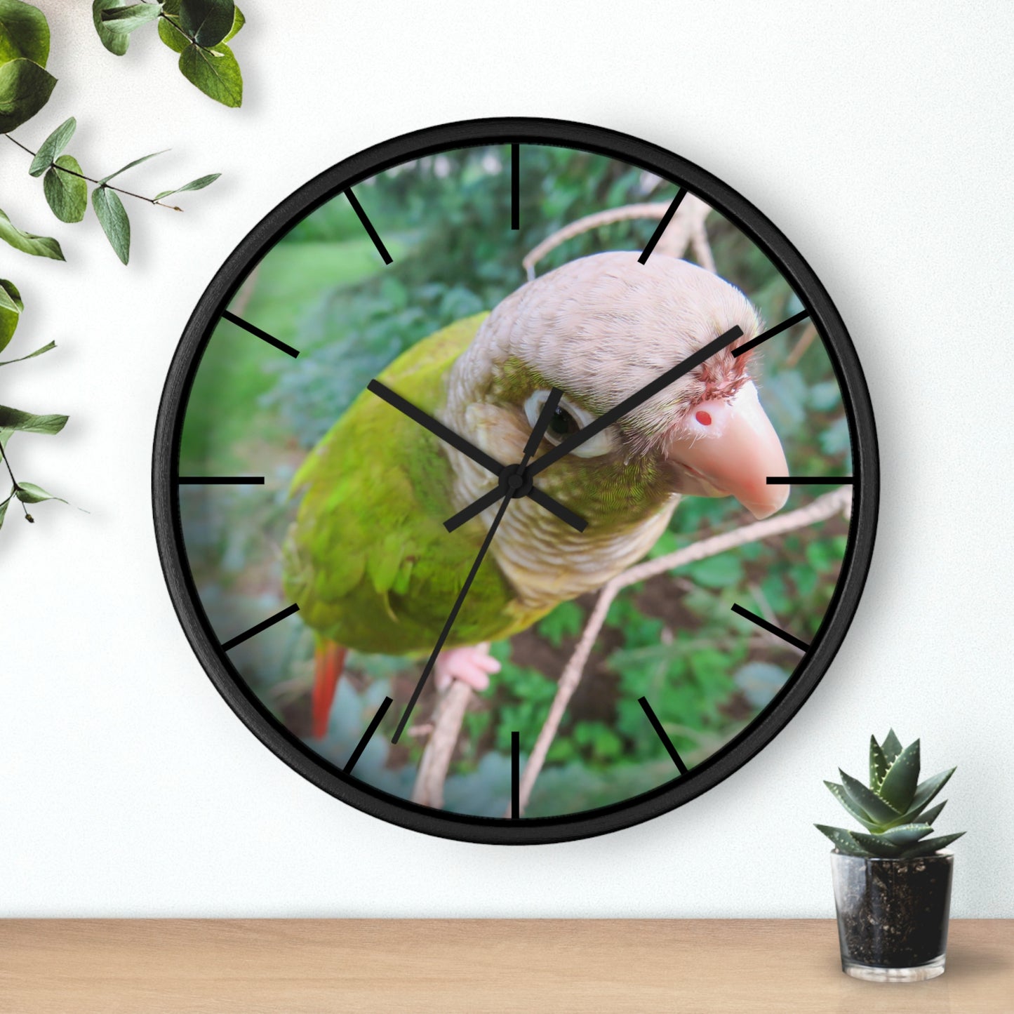 Wall Clock, Spunky Parrot, Hands/Base Variants