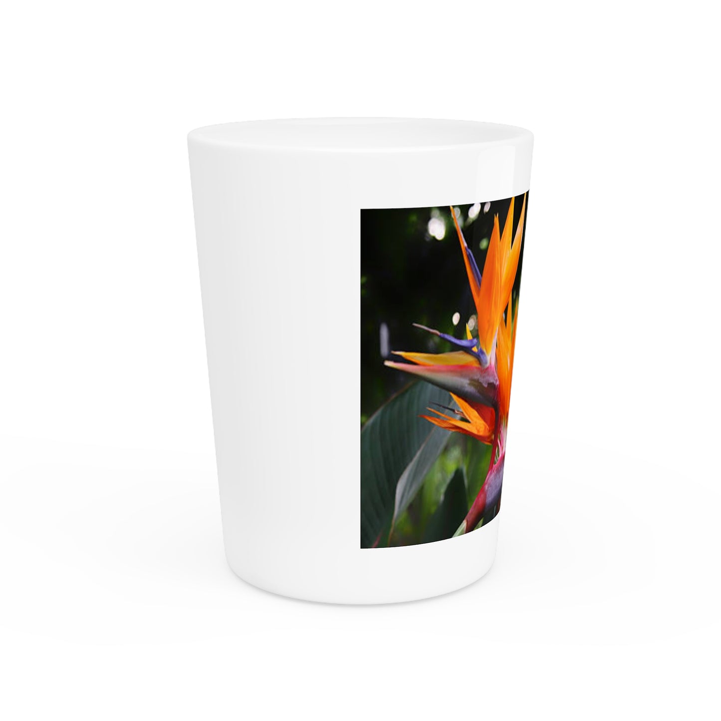 Copy of Ceramic Shot Glass - Shore Aquarium