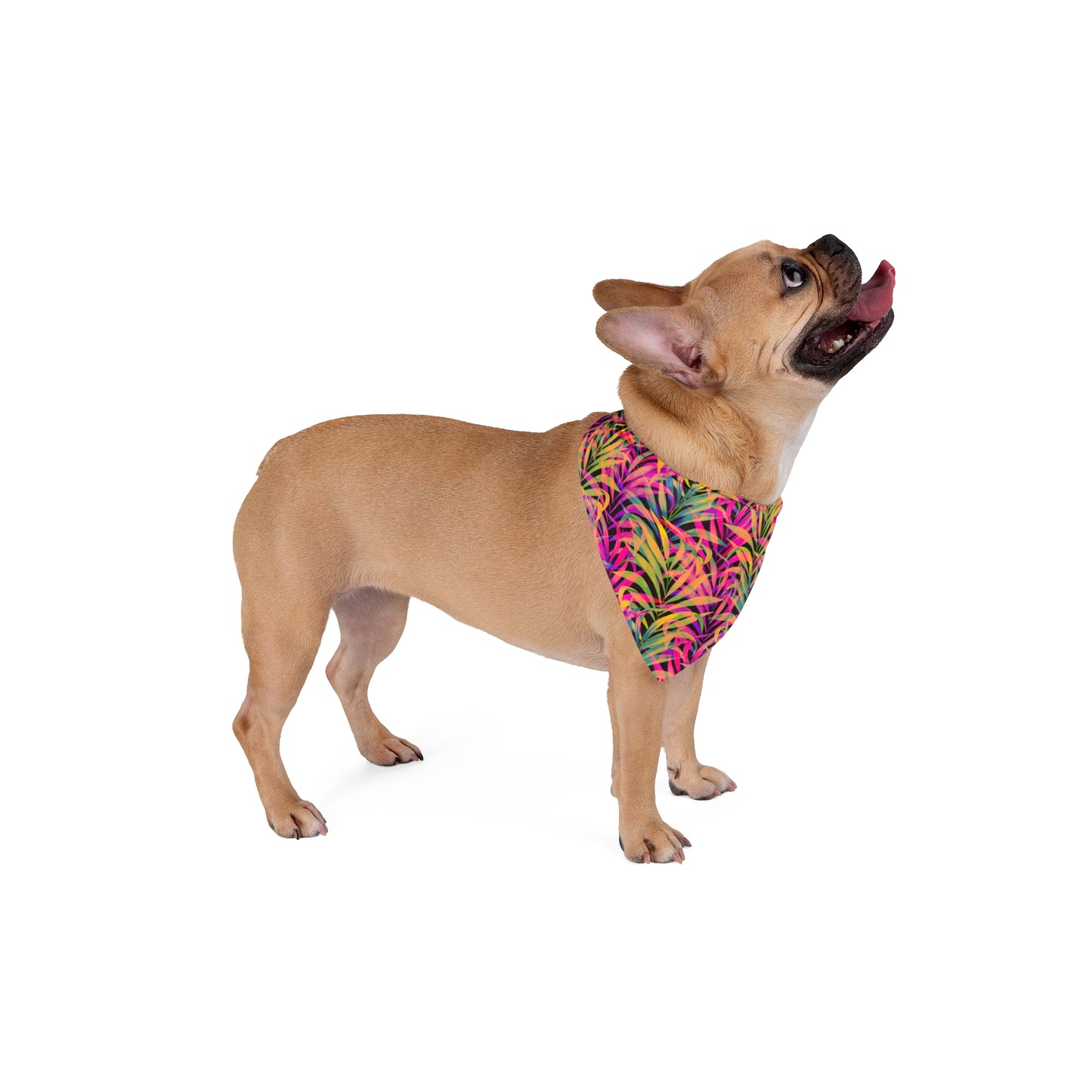 Rainbow Fronds Tropical Pet Bandana, 2 Sizes - Stylish accessory for dogs & cats