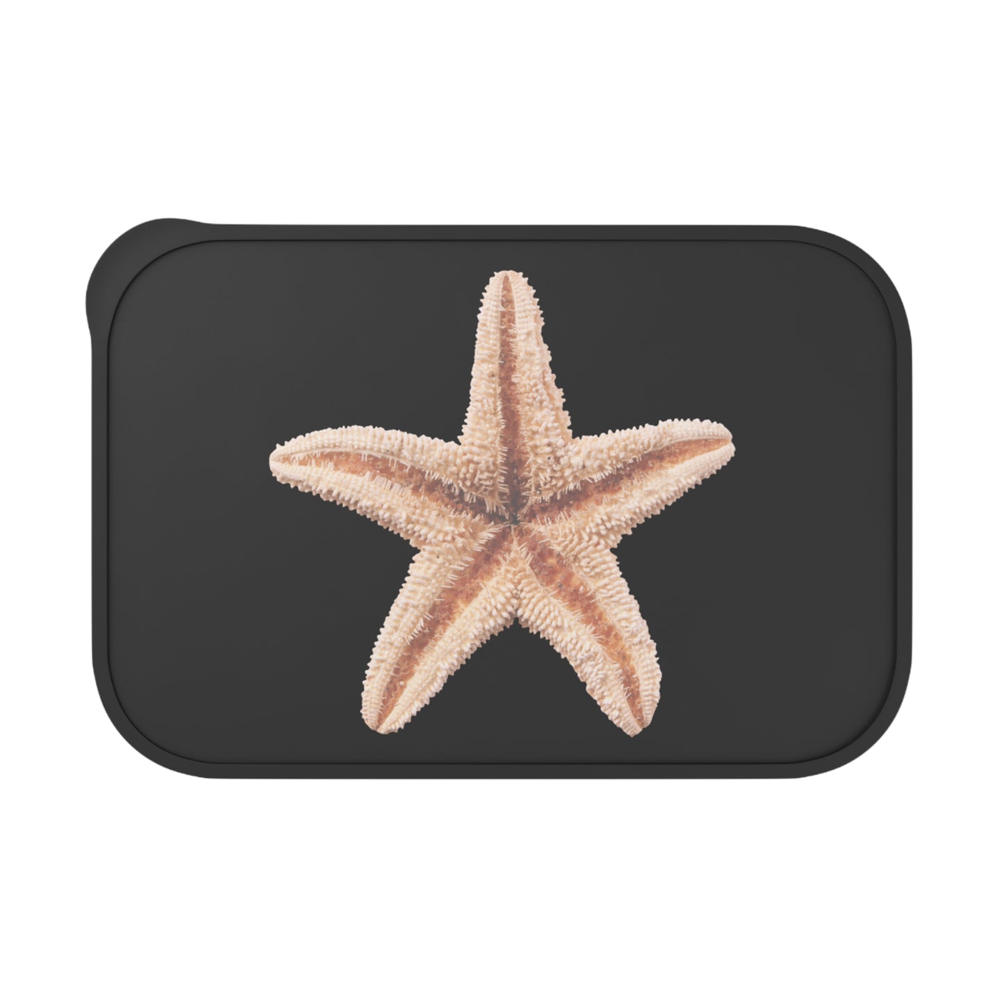 Bento Box with Utensils - Real Starfish