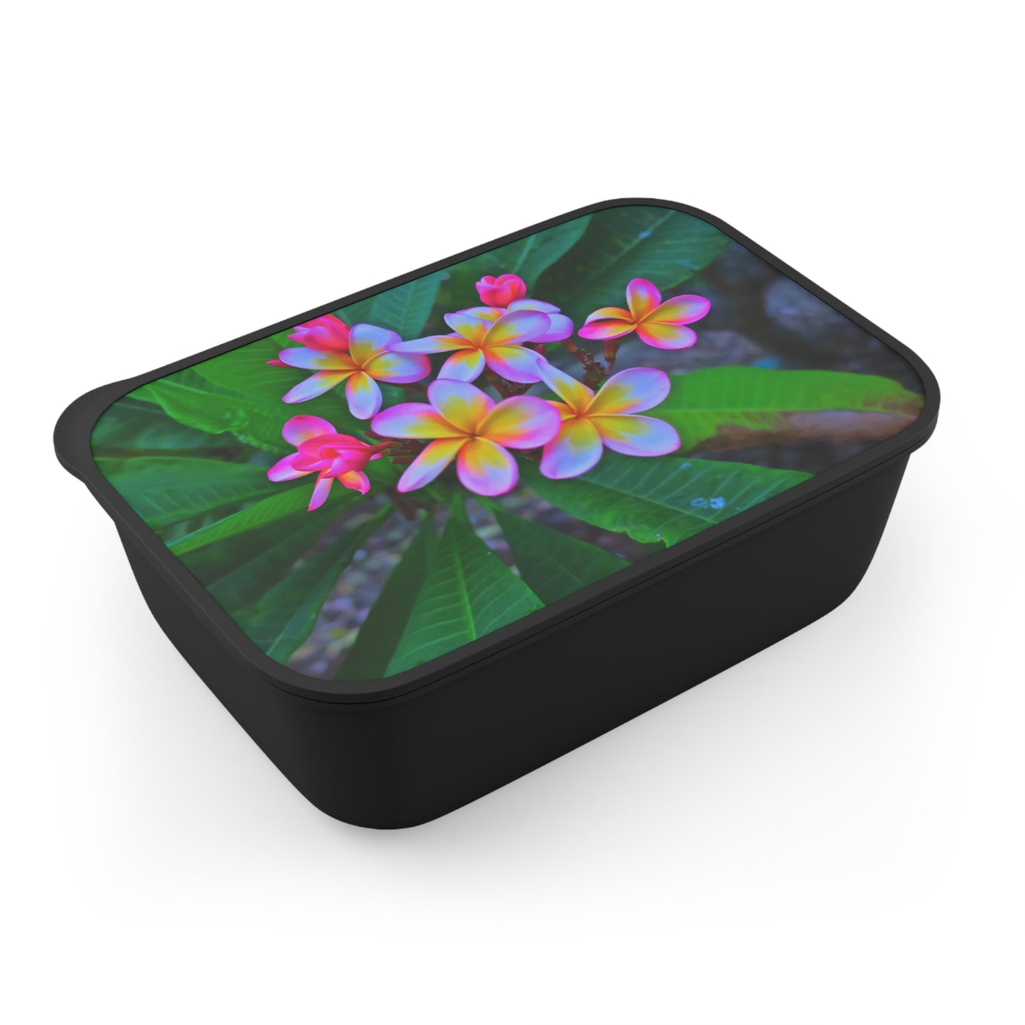 Bento Box with Utensils -Hawaiian Flowers