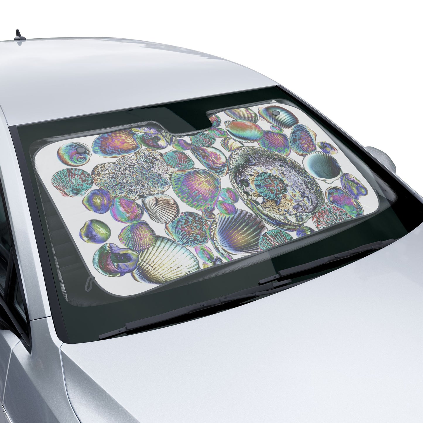 Coastal Car Sun Shades / Heatwave Seashell Collection, White