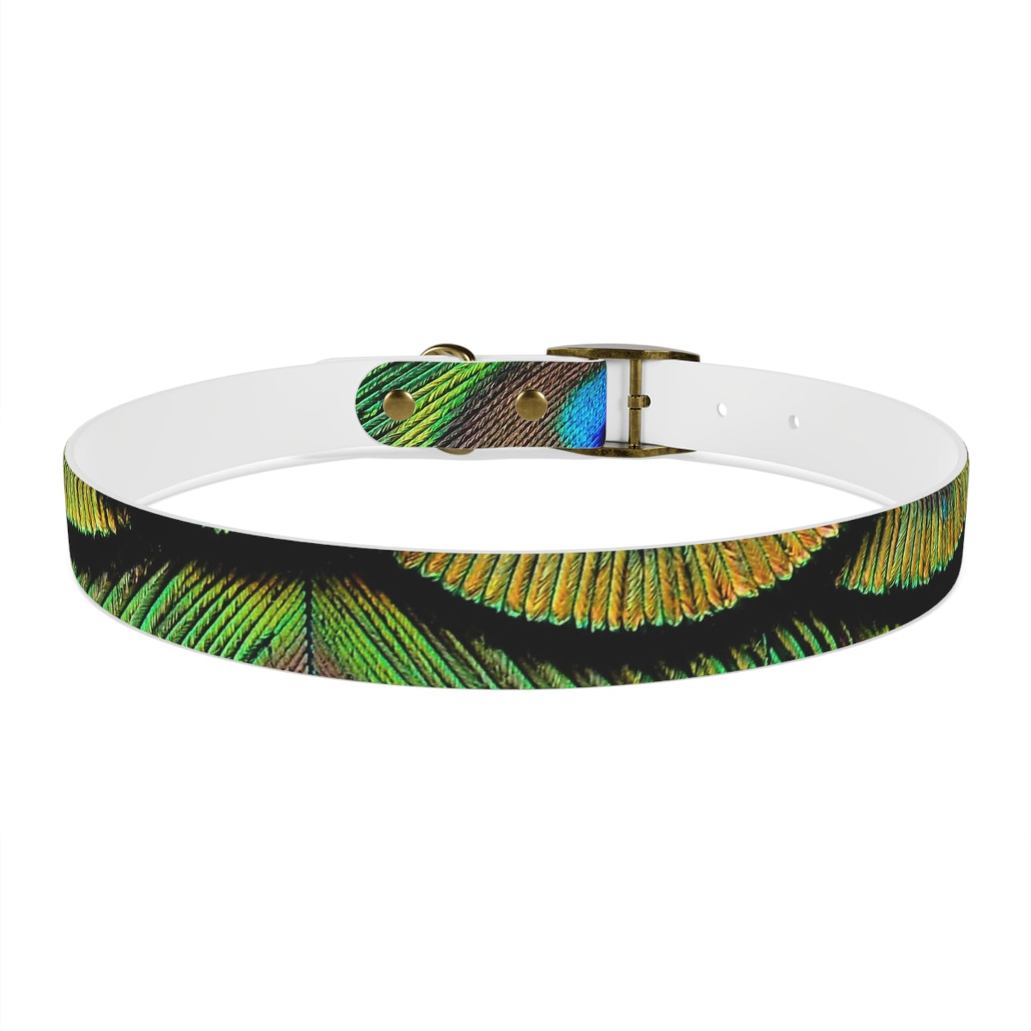 Dog Collar - Brilliant Green Peacock Feathers