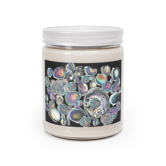 Scented Candles, 9oz - Heatwave Shell Collection