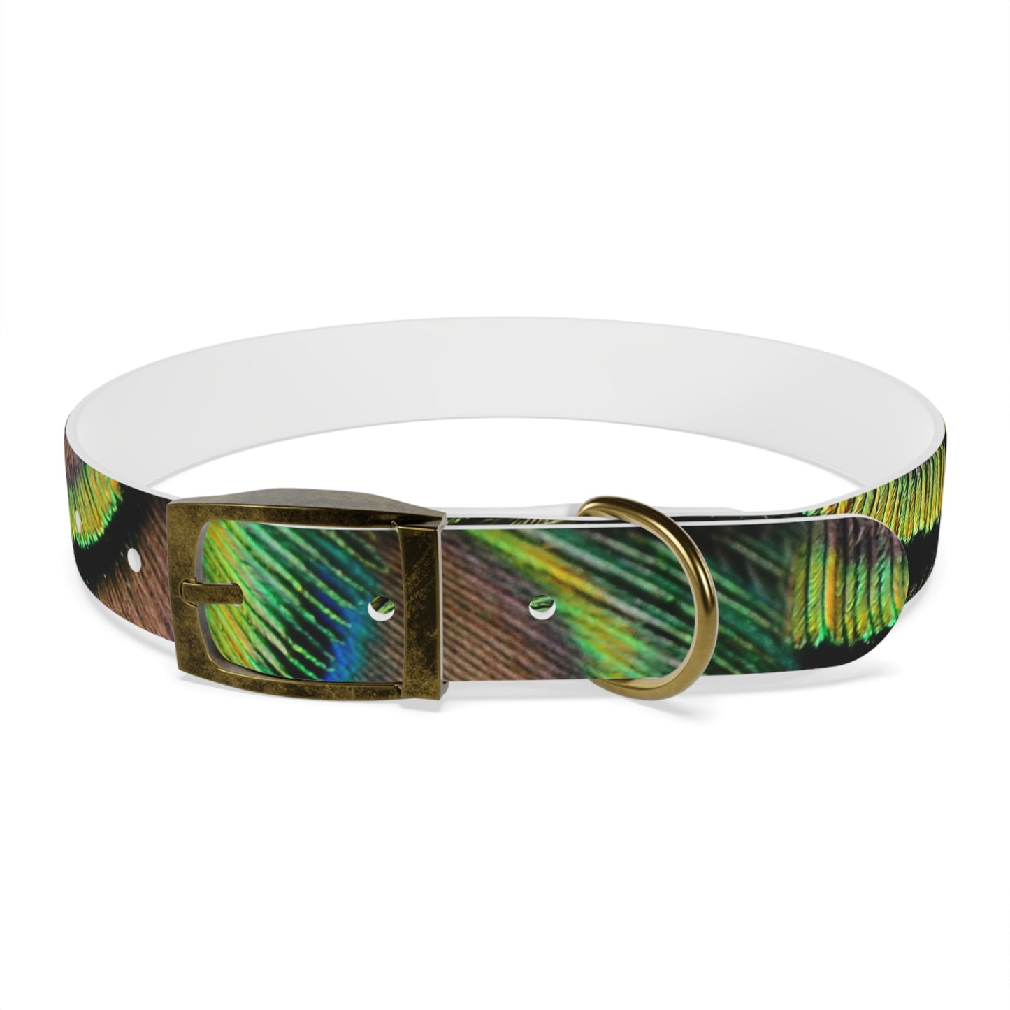 Dog Collar - Brilliant Green Peacock Feathers