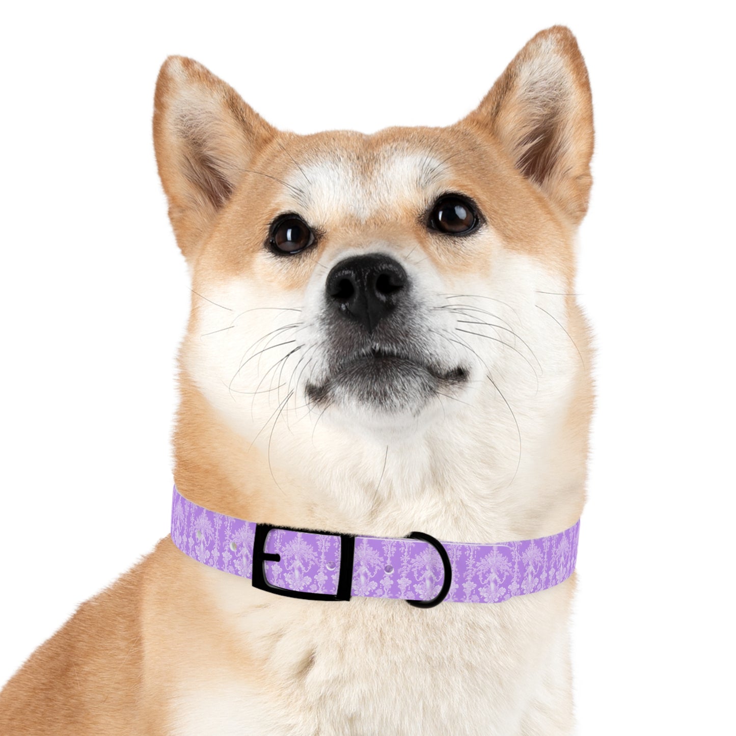 Dog Collar - Pearl Lady Toile, purple