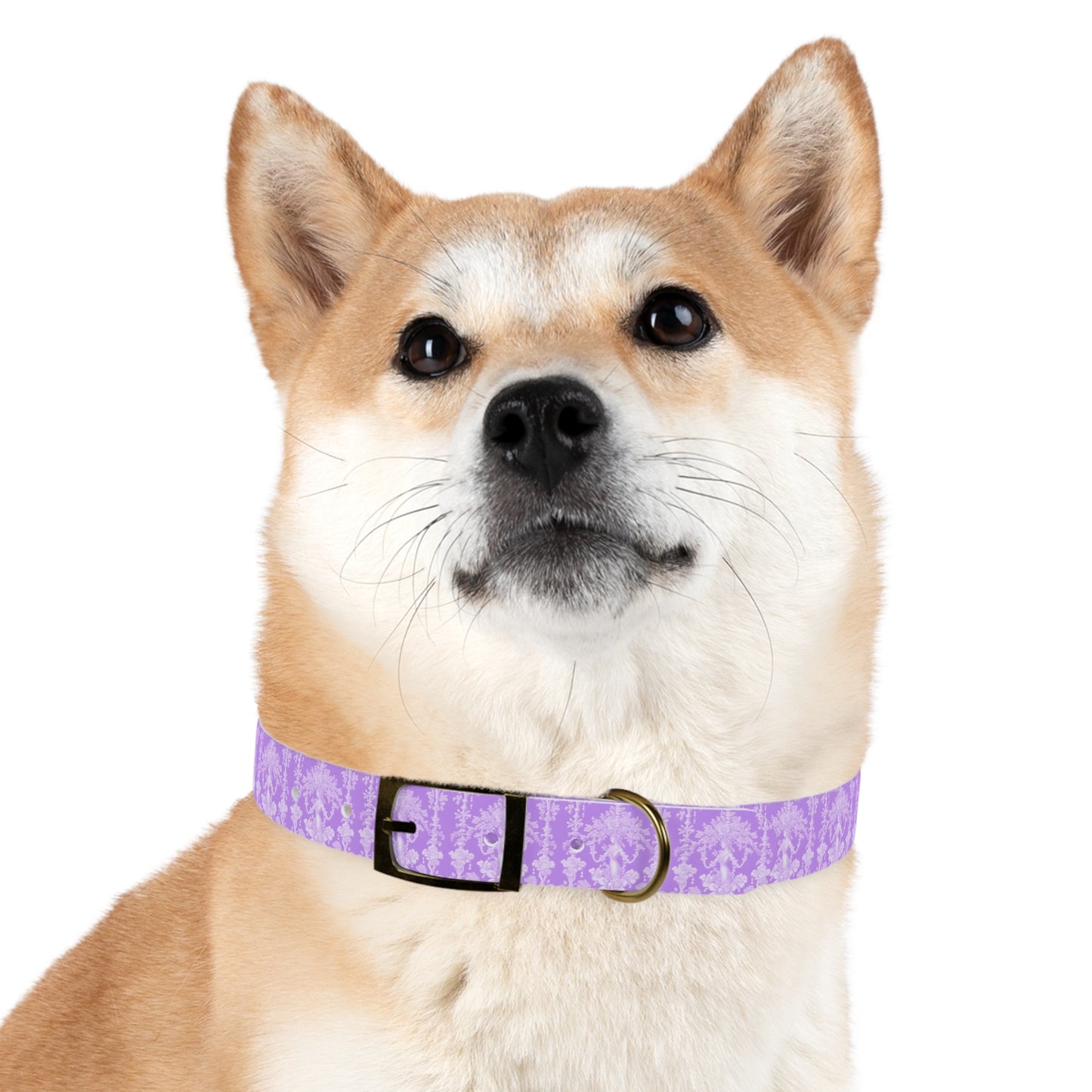 Dog Collar - Pearl Lady Toile, purple