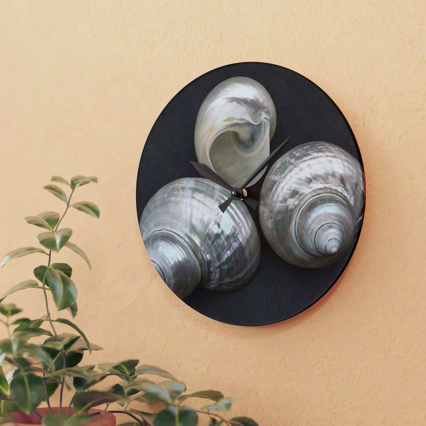 Acrylic Wall Clock, White Nautilus Trio, Variants