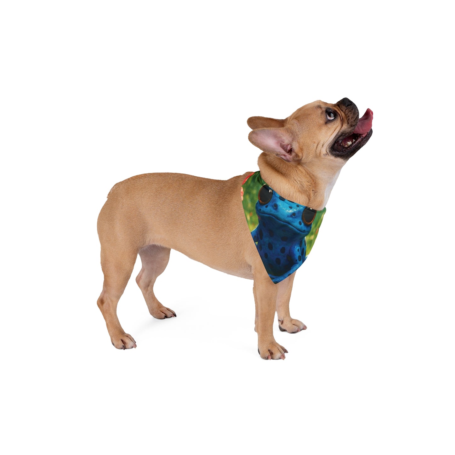Baby Tree Frog Pet Bandana, 2 Sizes - Stylish accessory for dogs & cats