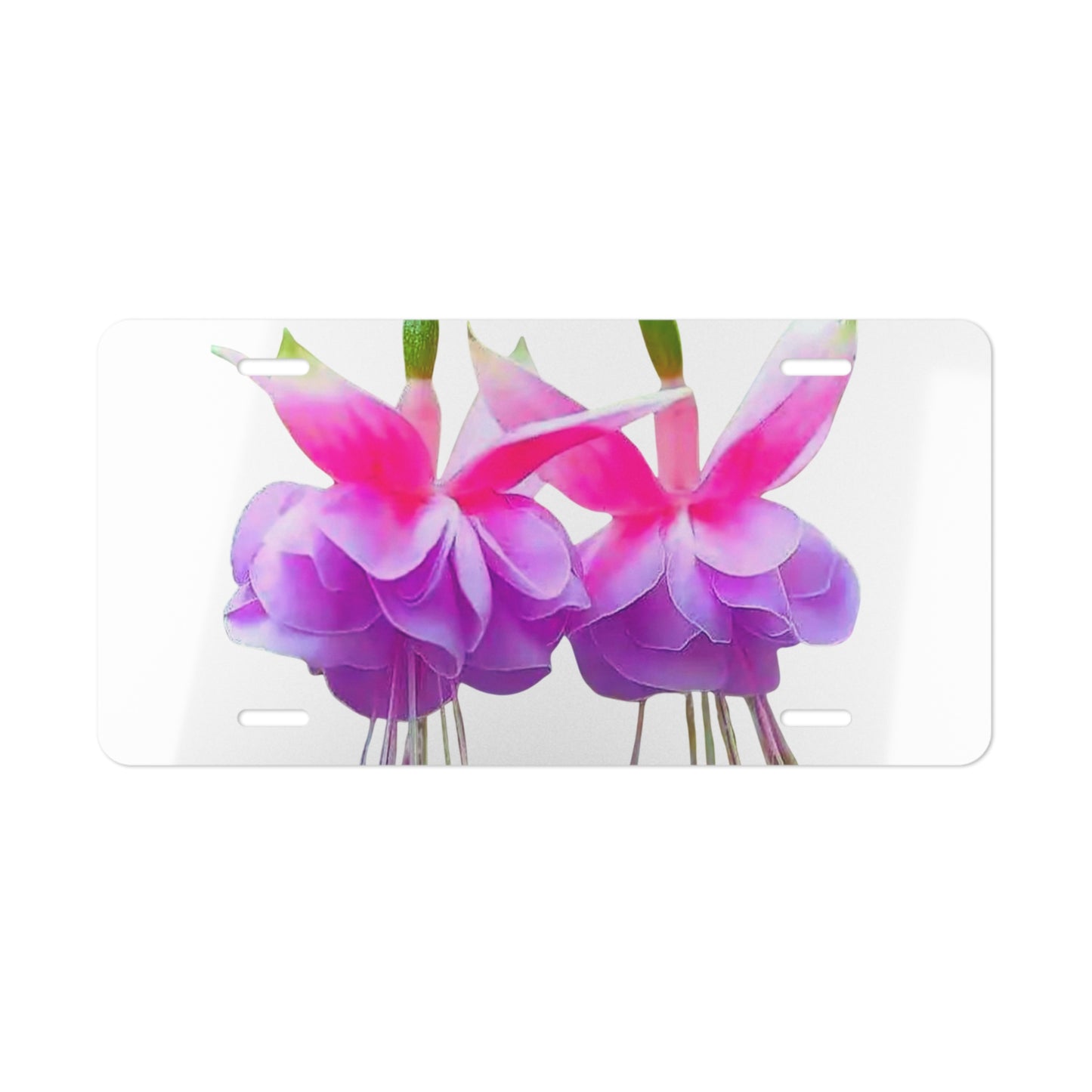 Real Two Fuchsias Vanity Plate, White - Tropical Floral Design for Cars, Trucks, and Decor