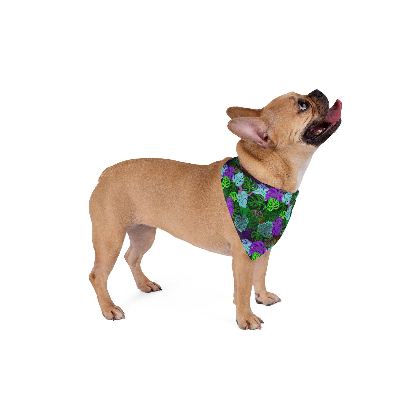 Peacock Vibes Monsteras Tropical Pet Bandana, 2 Sizes - Stylish accessory for dogs & cats