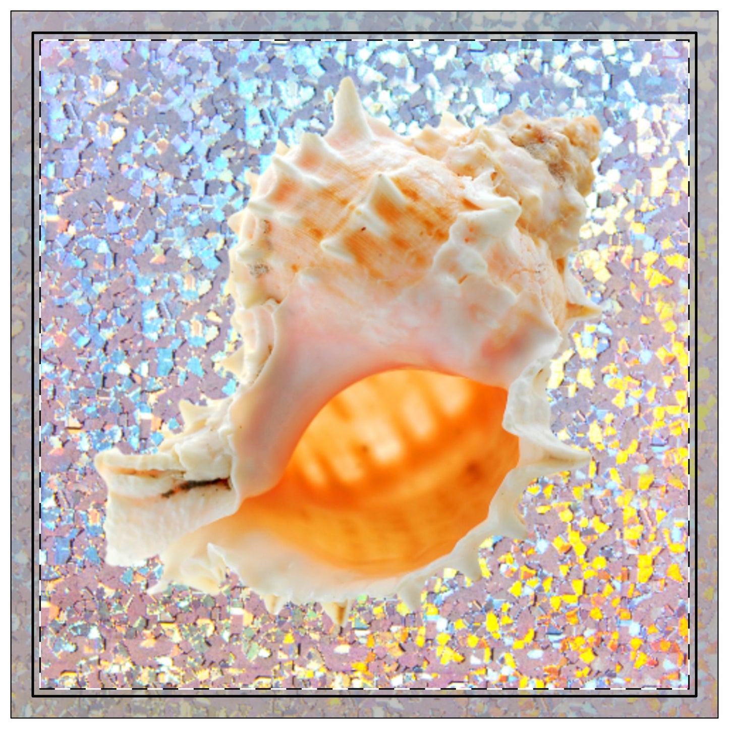 Disco Conch Polyester Napkins | SET of 4 | Stylish Table Decor