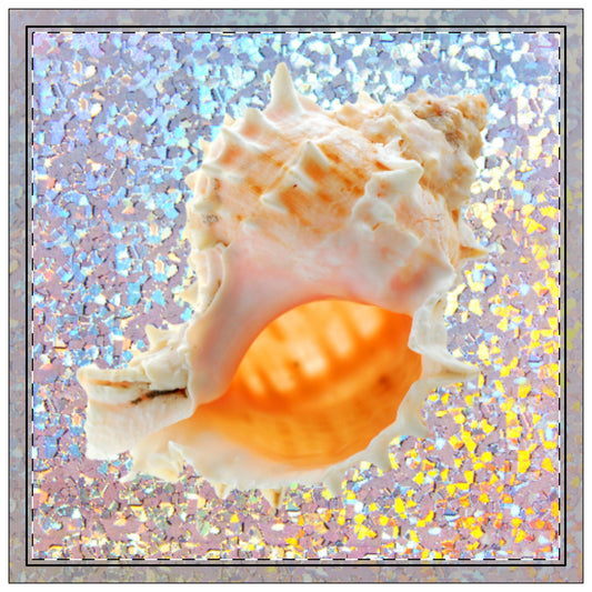 Disco Conch Polyester Napkins | SET of 4 | Stylish Table Decor