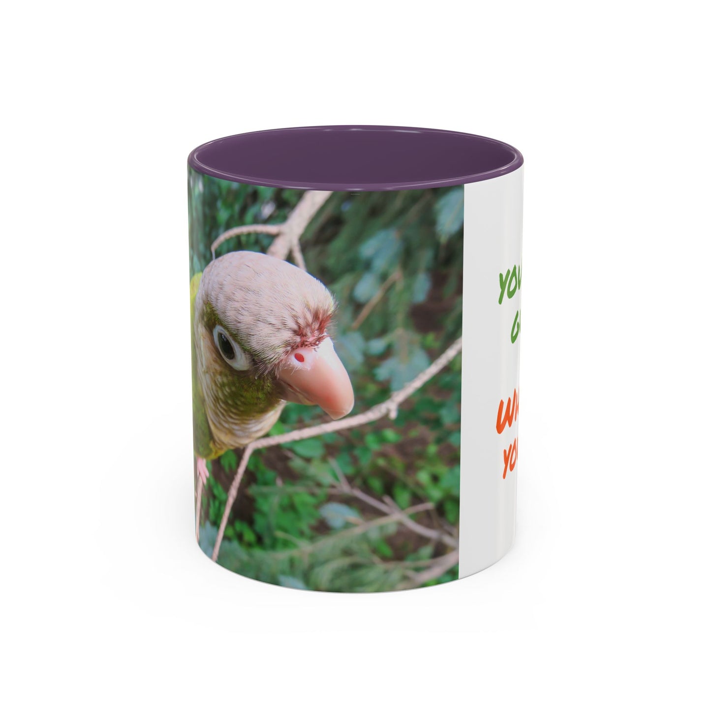 Parrot Accent Coffee Mug (11, 15oz), 8 Colors - You Look Guilty!