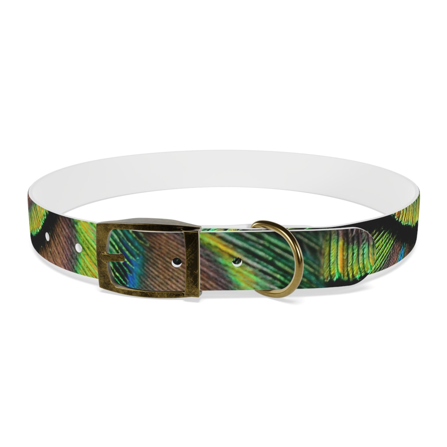 Dog Collar - Brilliant Green Peacock Feathers