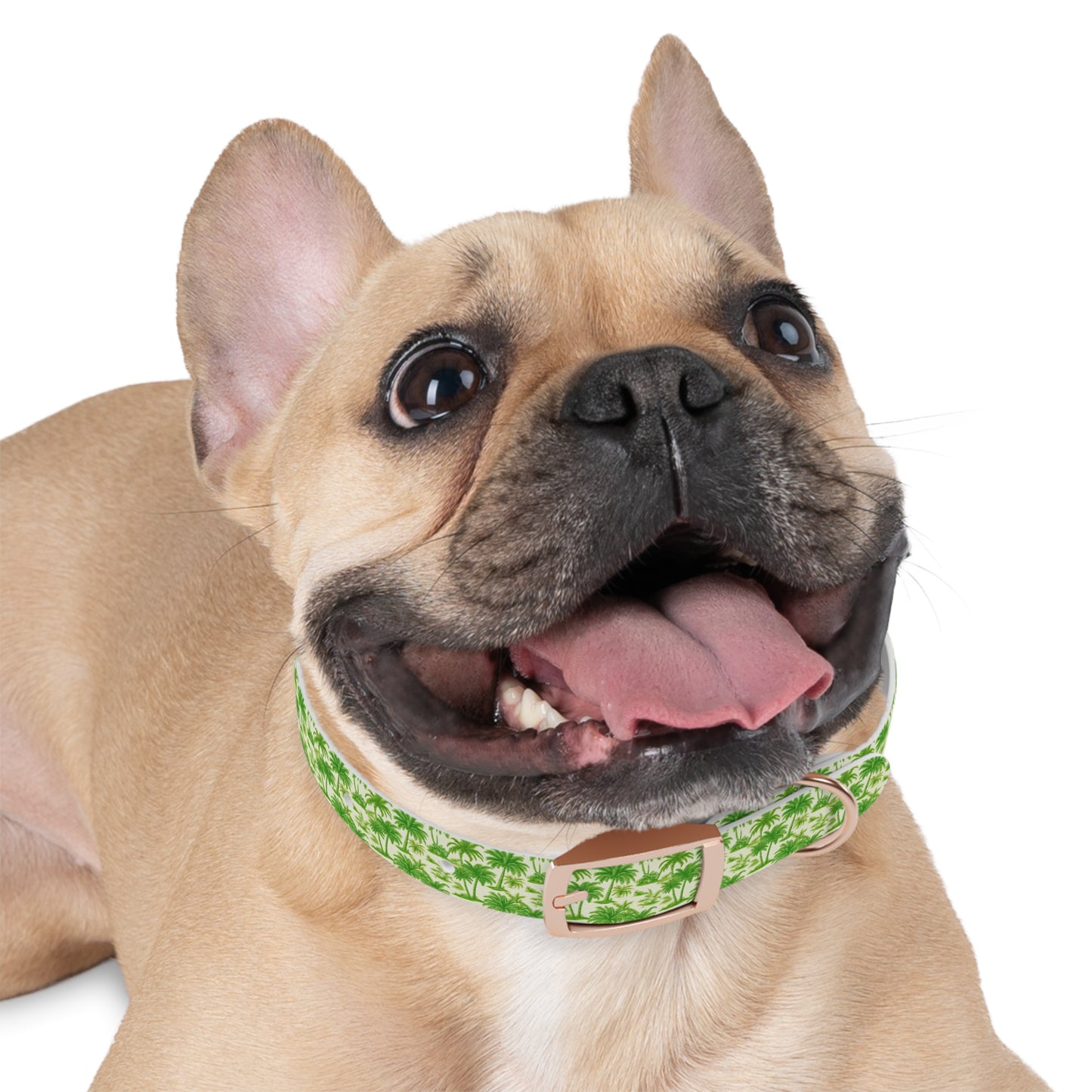 Dog Collar - Playful Palms Toile