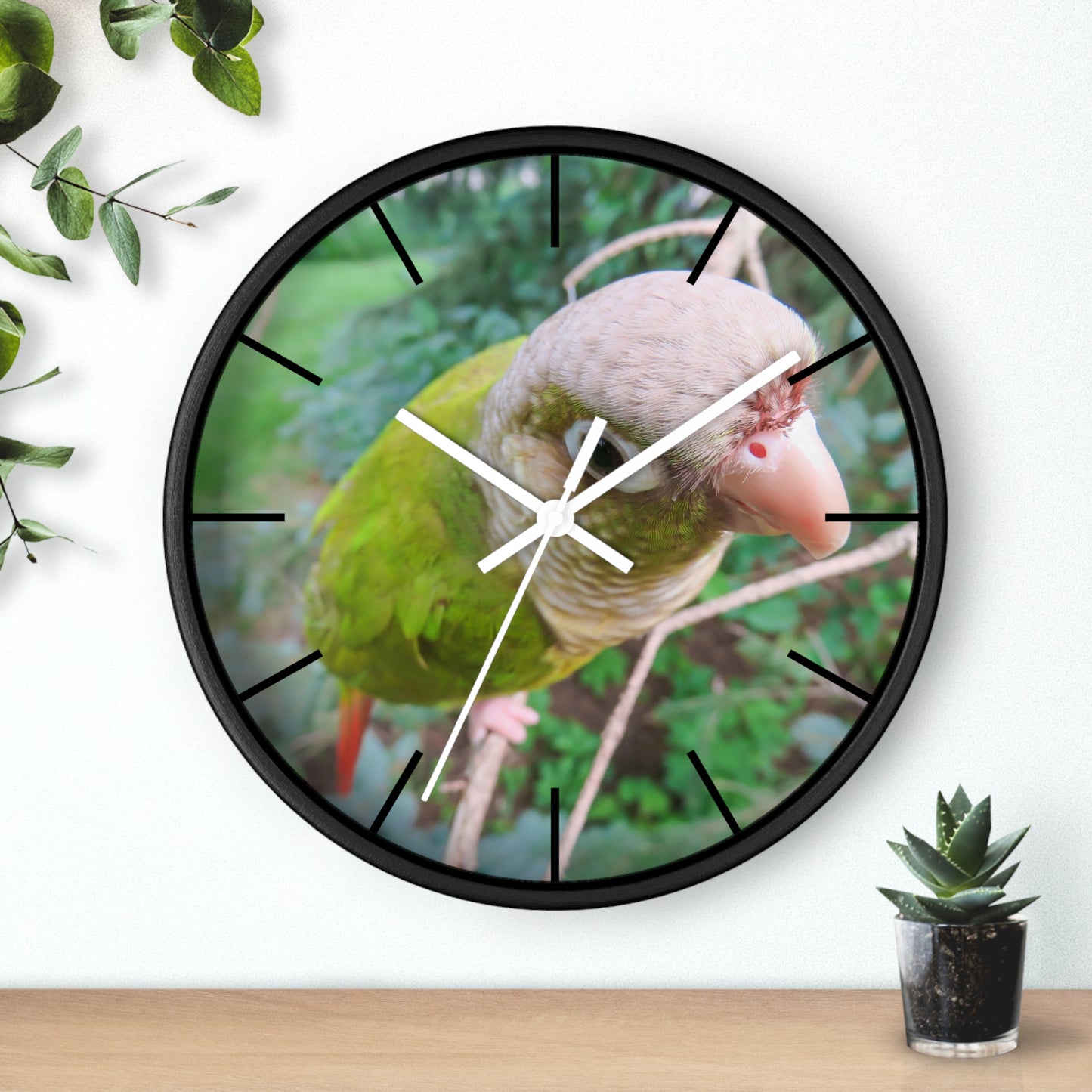 Wall Clock, Spunky Parrot, Hands/Base Variants