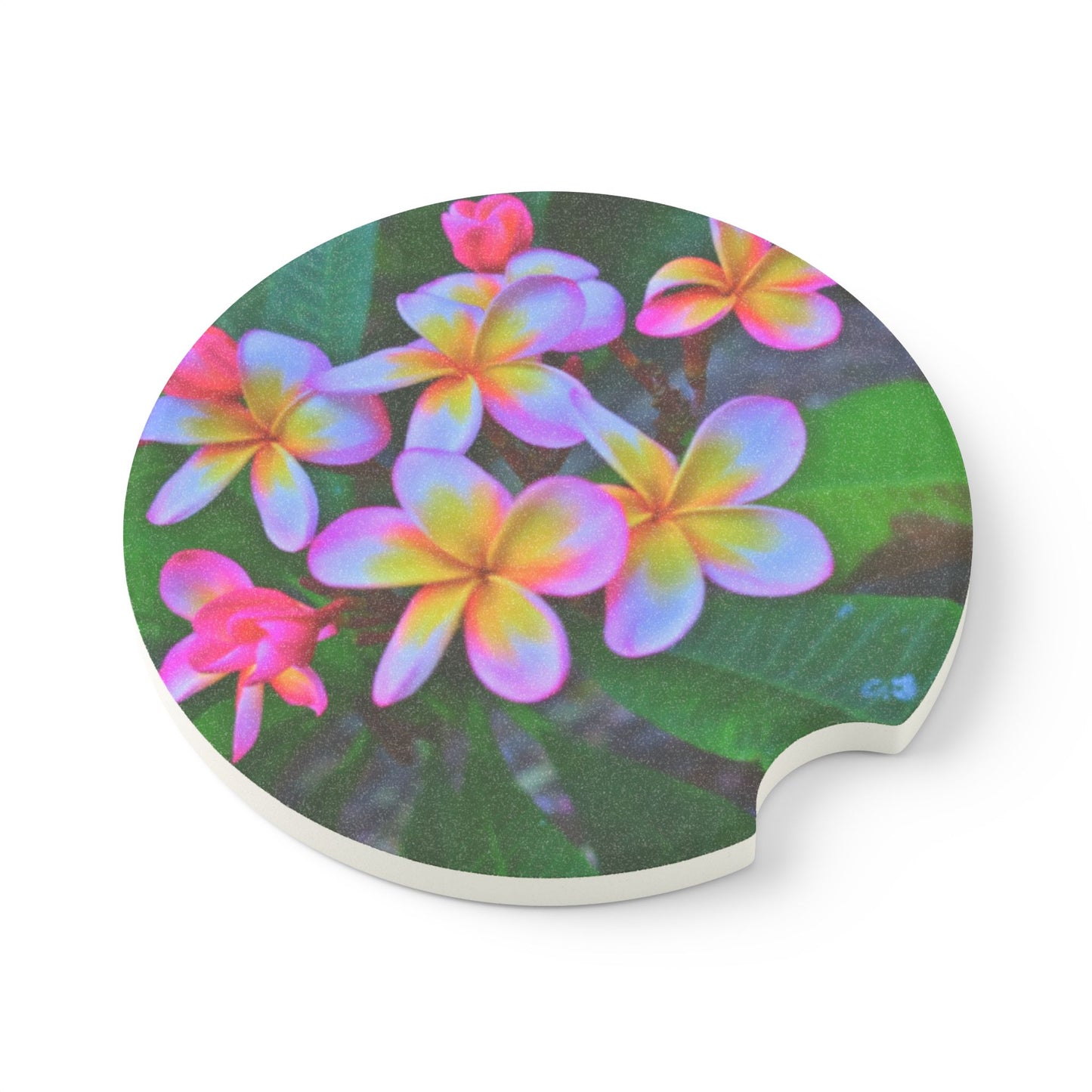 Soapstone Car Coaster - Hawaiian Flowers