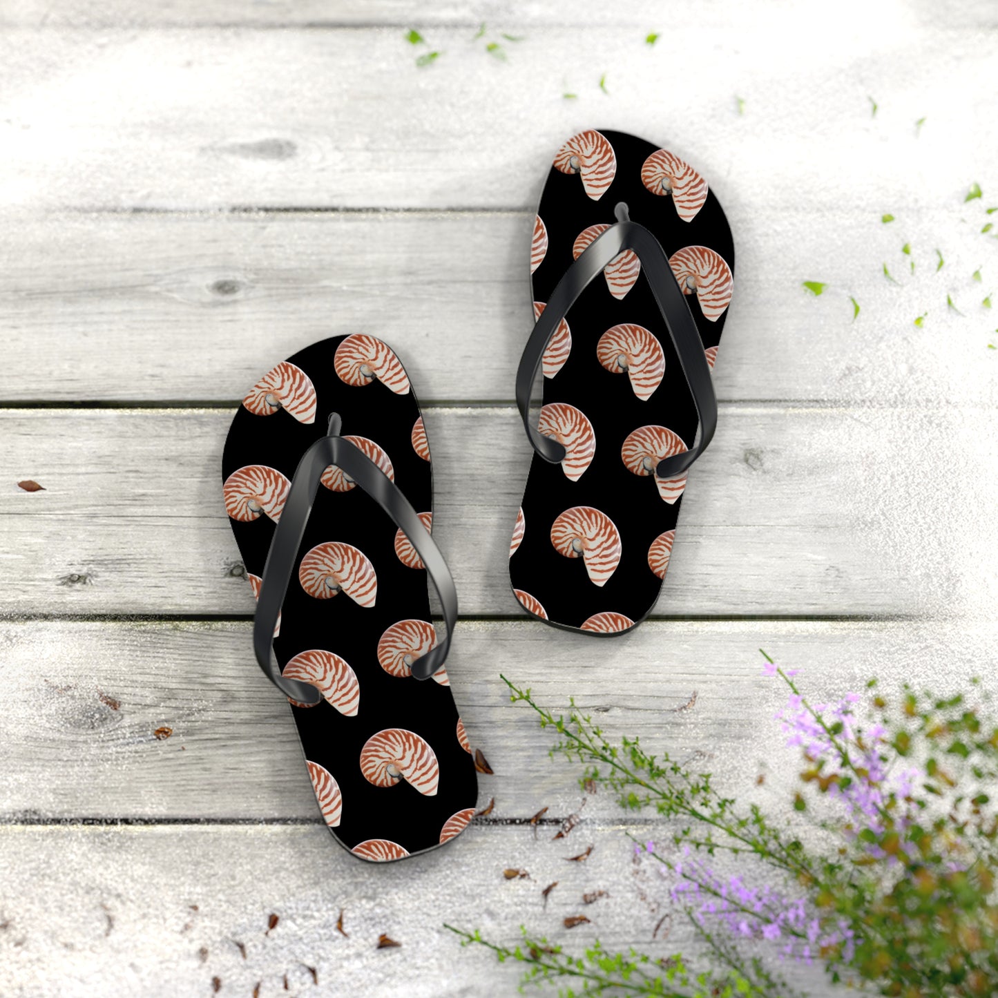 Flip Flops - Tiger Stripe Nautilus Shell, black