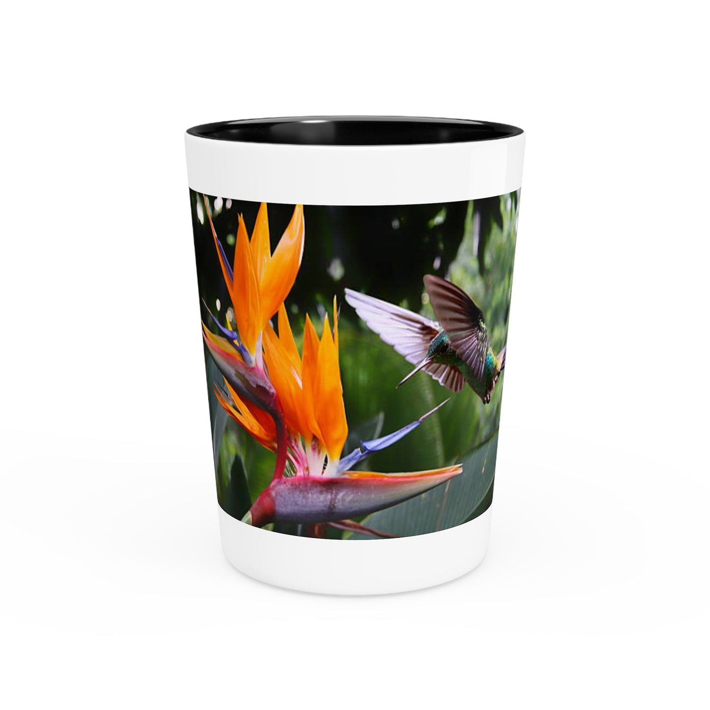 Copy of Ceramic Shot Glass - Shore Aquarium