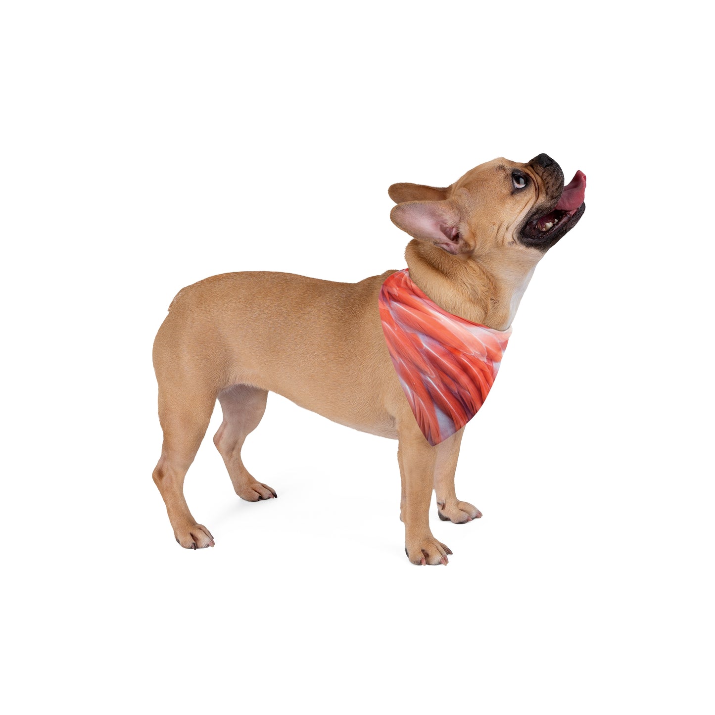 Real Flamingo Feathers Tropical Pet Bandana, 2 Sizes - Stylish accessory for dogs & cats