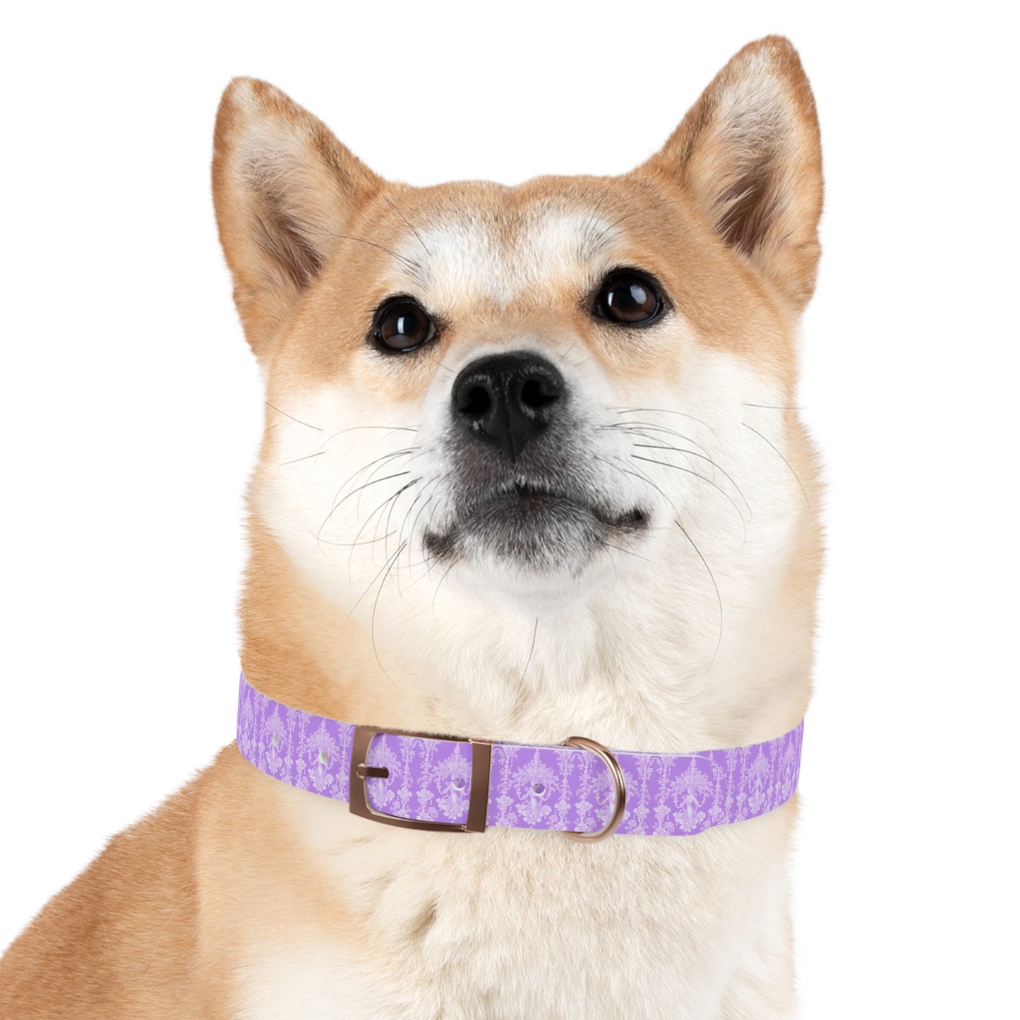 Dog Collar - Pearl Lady Toile, purple