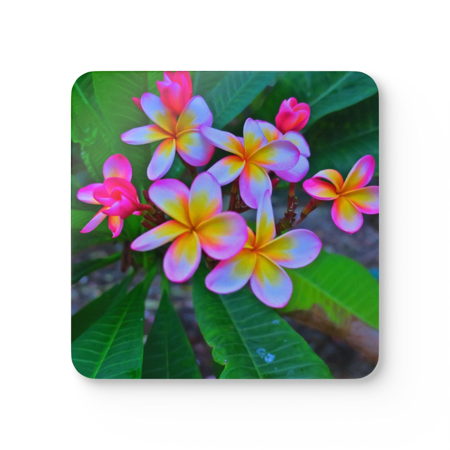 Coaster Set - Hawaiian Flowers