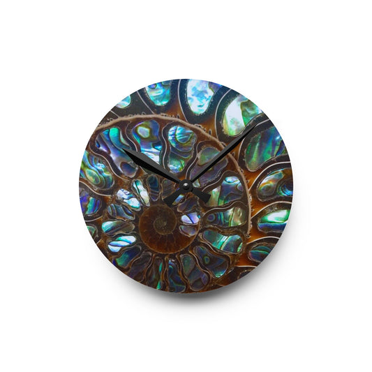 Acrylic Wall Clock, Ammonite & Abalone, 4 Variants