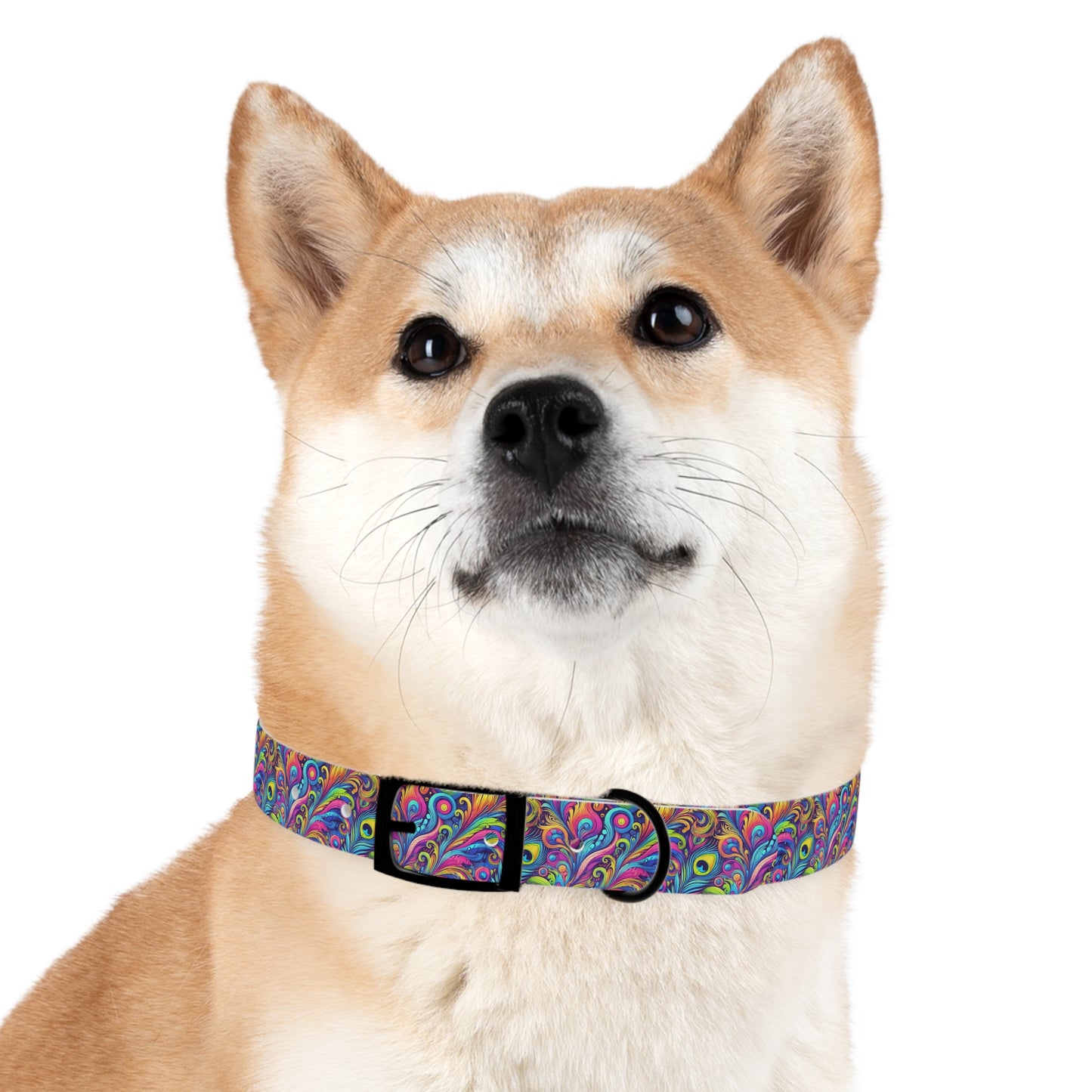 Tropical Dog Collar - Fun and Playful Pet Accessory / Feather Currents Pop