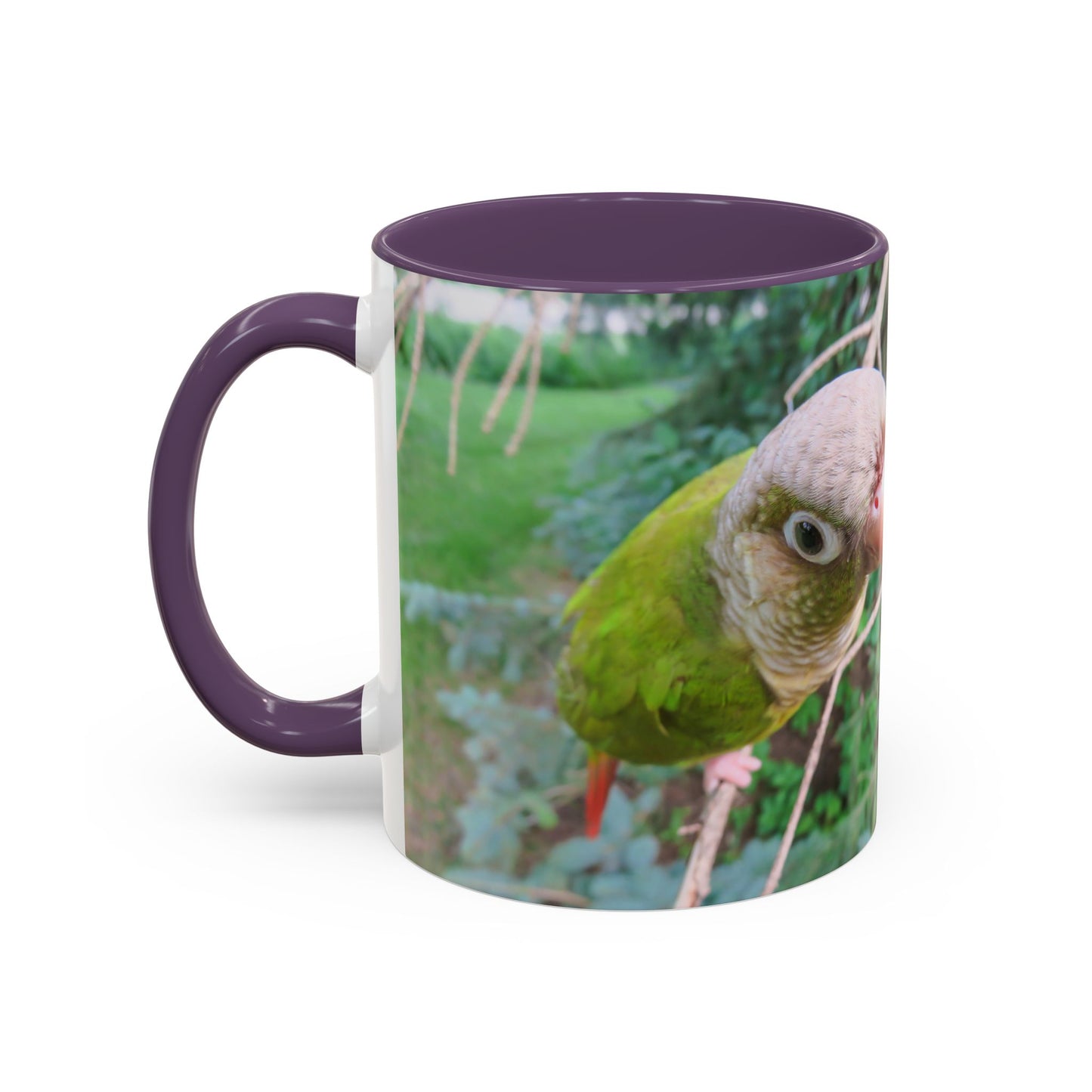 Parrot Accent Coffee Mug (11, 15oz), 8 Colors - You Look Guilty!