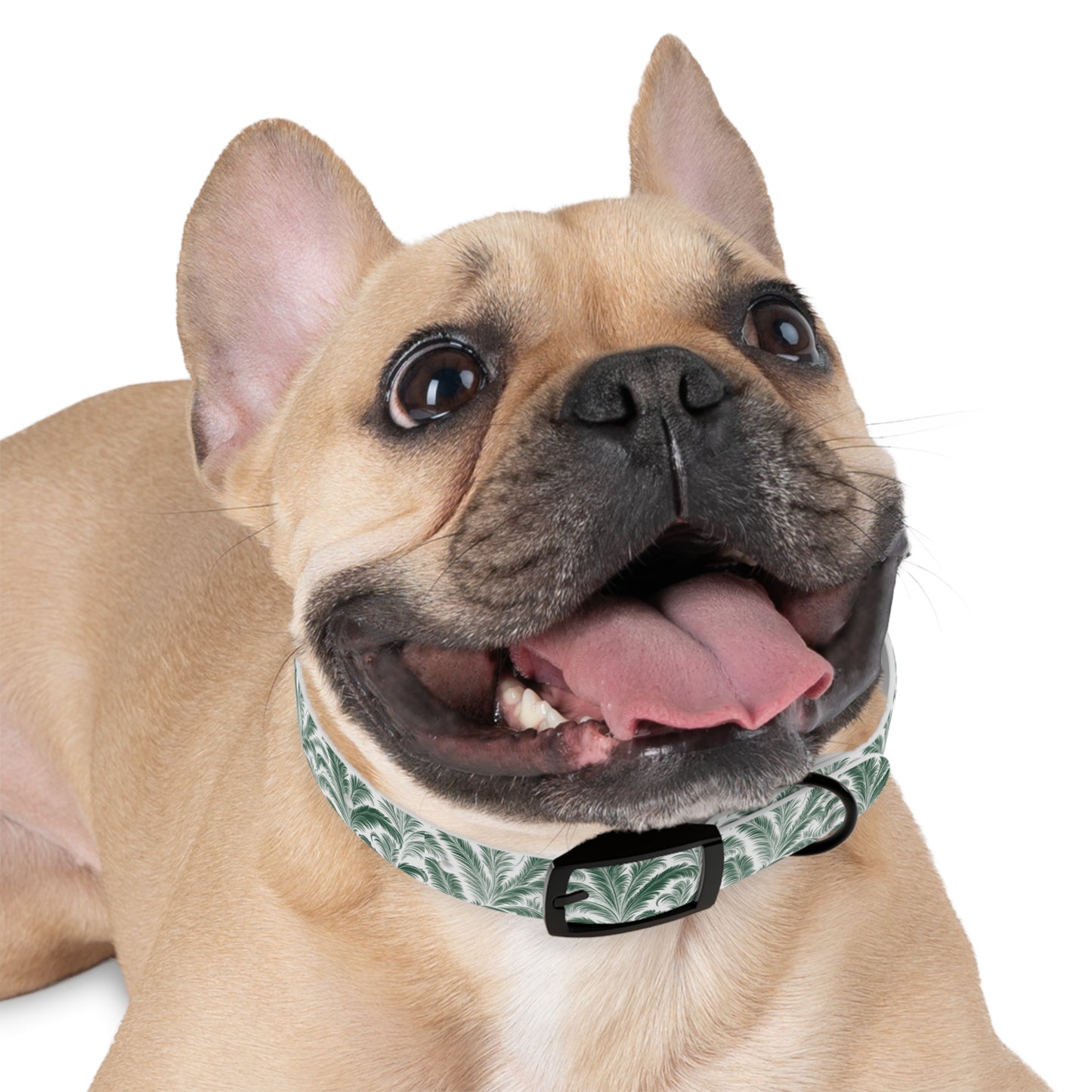 Tropical Dog Collar - Rocco Green