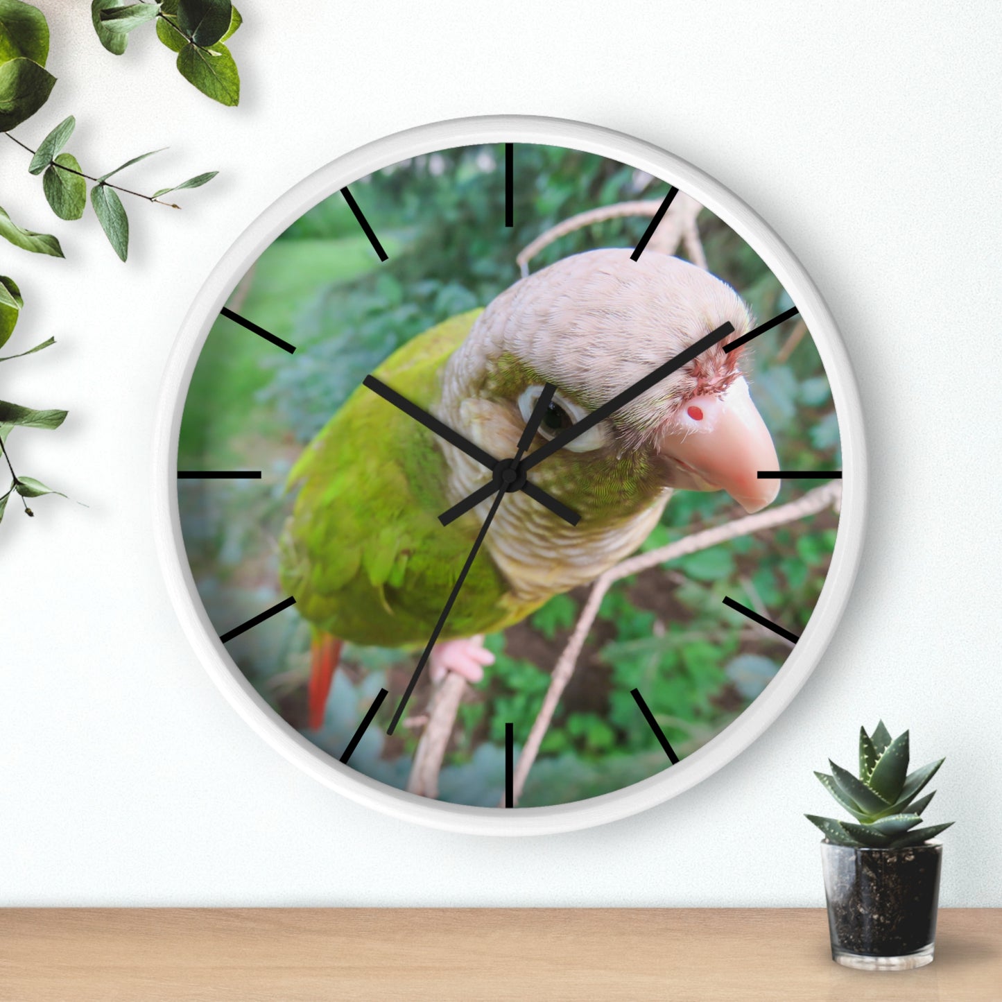 Wall Clock, Spunky Parrot, Hands/Base Variants