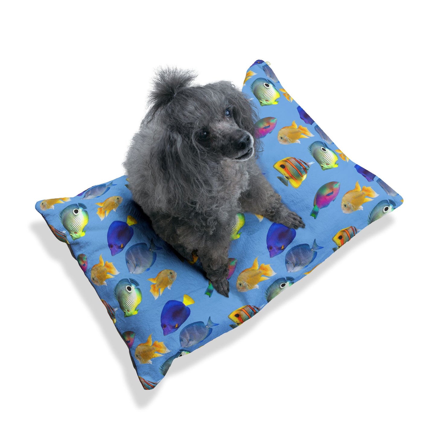 Pet Bed - Cozy and Fun Dog or Cat Bed for Beach Lovers / School of Fish, Lt. Blue