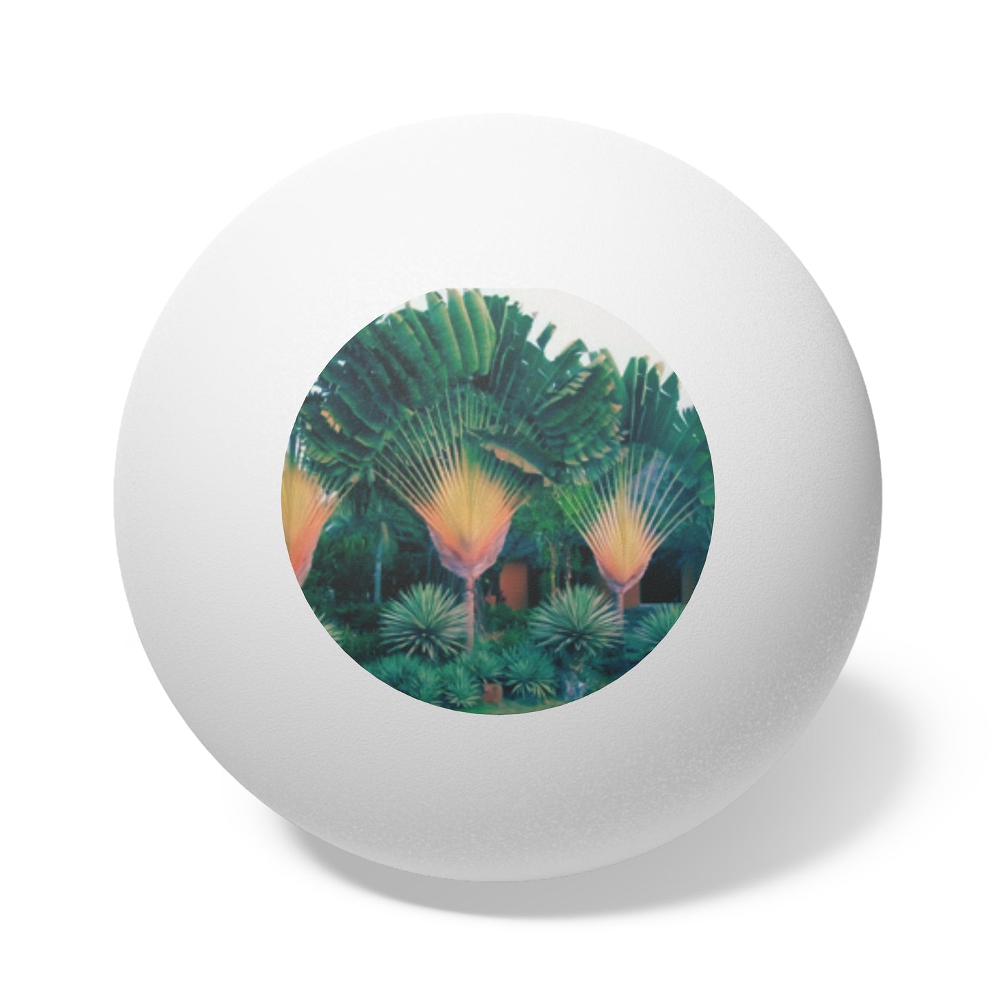 Tropical Paradise Ping Pong Balls - 6 Pack with Fan Palms