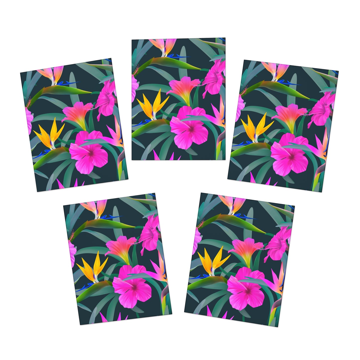 Tropical Multi-Design Greeting Cards | 5-Pack for All Occasions / Tropical Delights