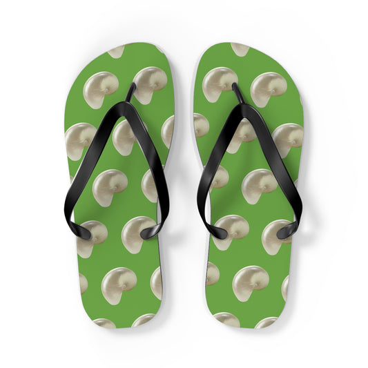 Flip Flops - White Nautilus Shell, green