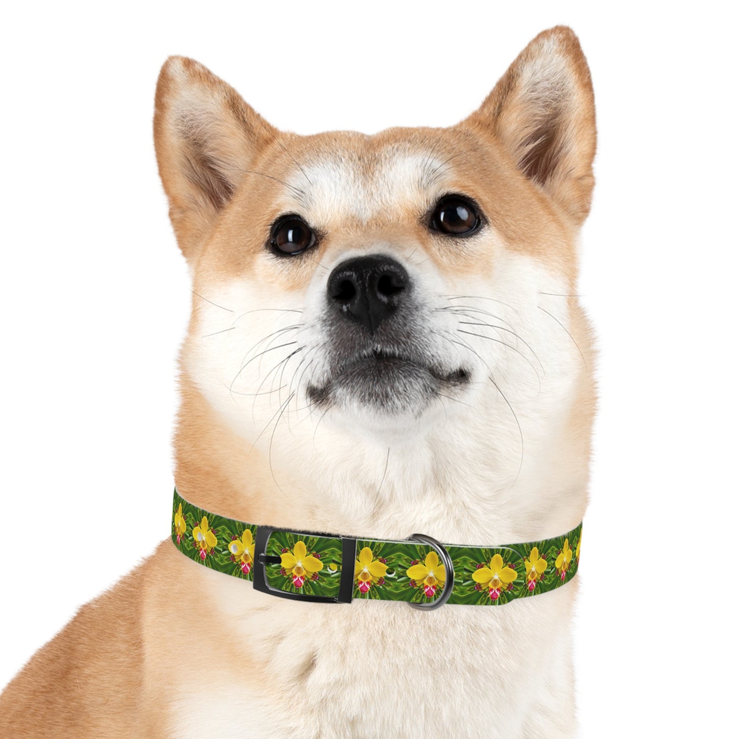 Dog Collar - Yellow Orchid Kaleidoscope