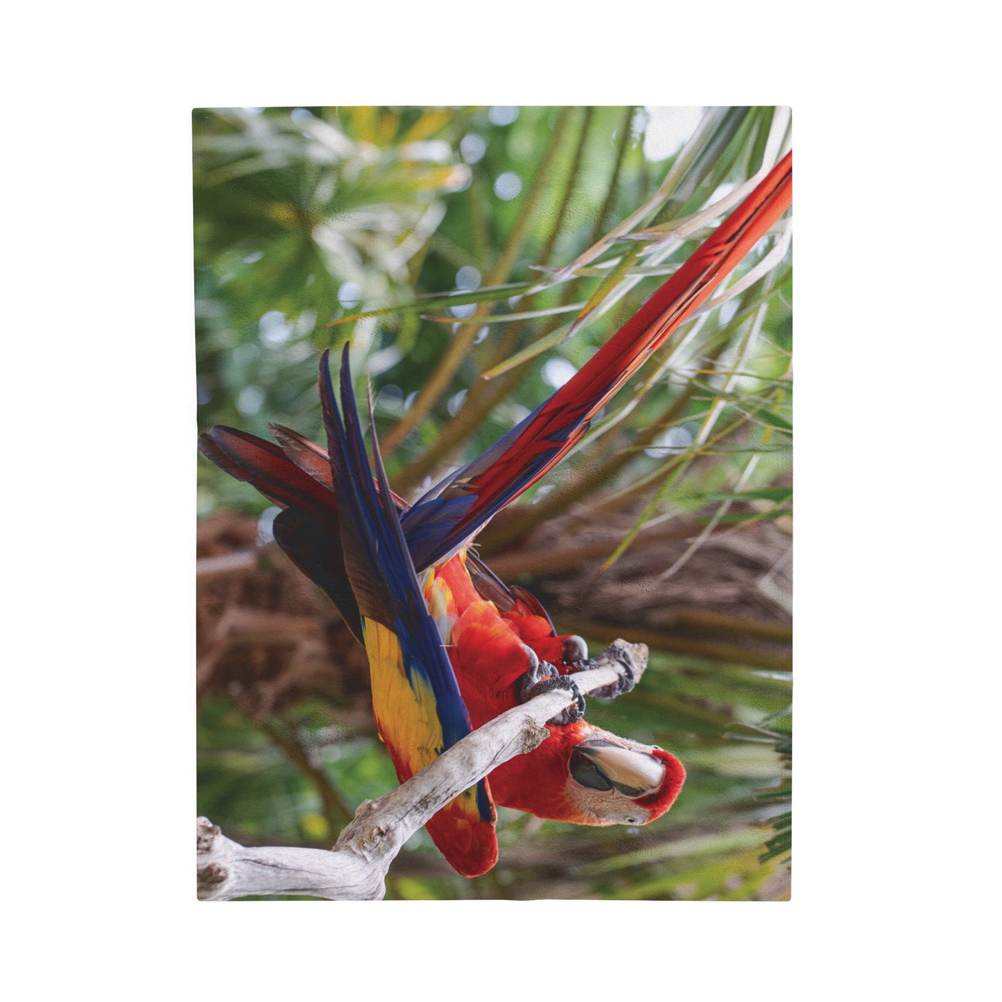 Tropical Gymnast Parrot Velveteen Plush Blanket - Cozy Home Decor for Nature Lovers