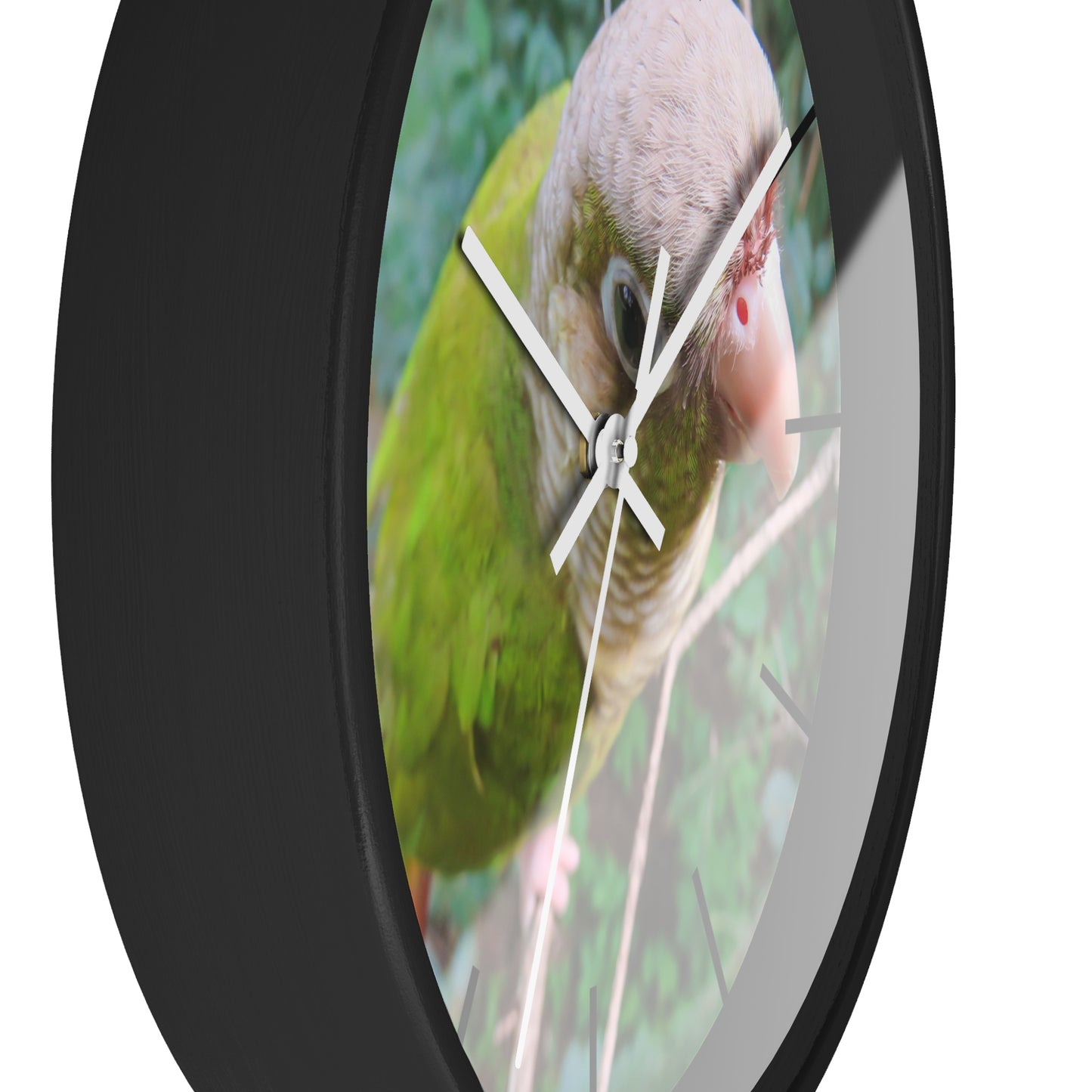 Wall Clock, Spunky Parrot, Hands/Base Variants