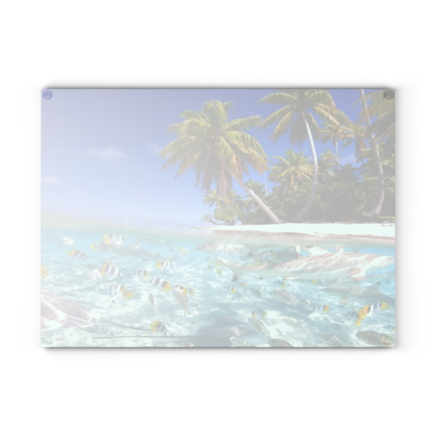 Glass Cutting Board, 2 sizes - Shore Aquarium