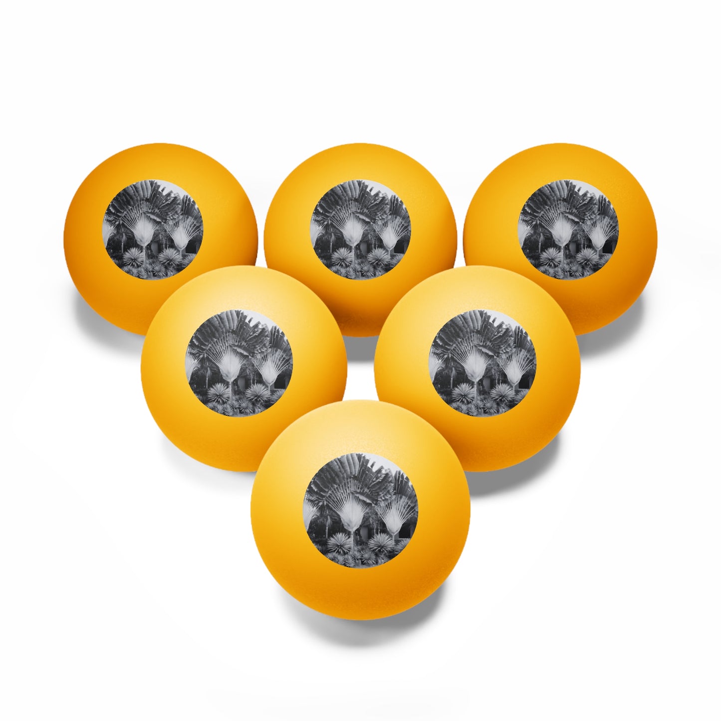 Tropical Paradise Ping Pong Balls - 6 Pack with Fan Palms Photo/Orange