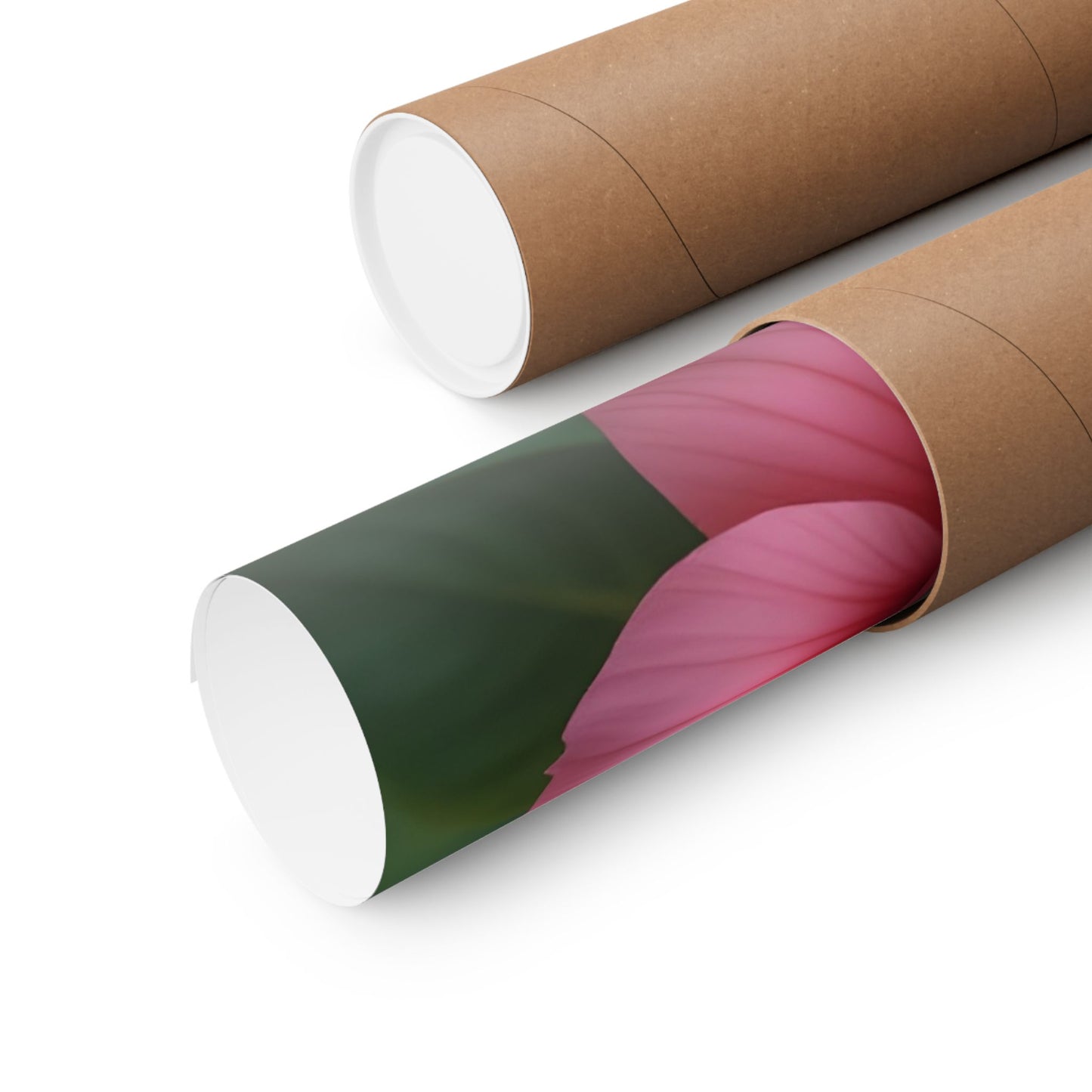 Tropics Floral Matte Poster — Coffee Bloom