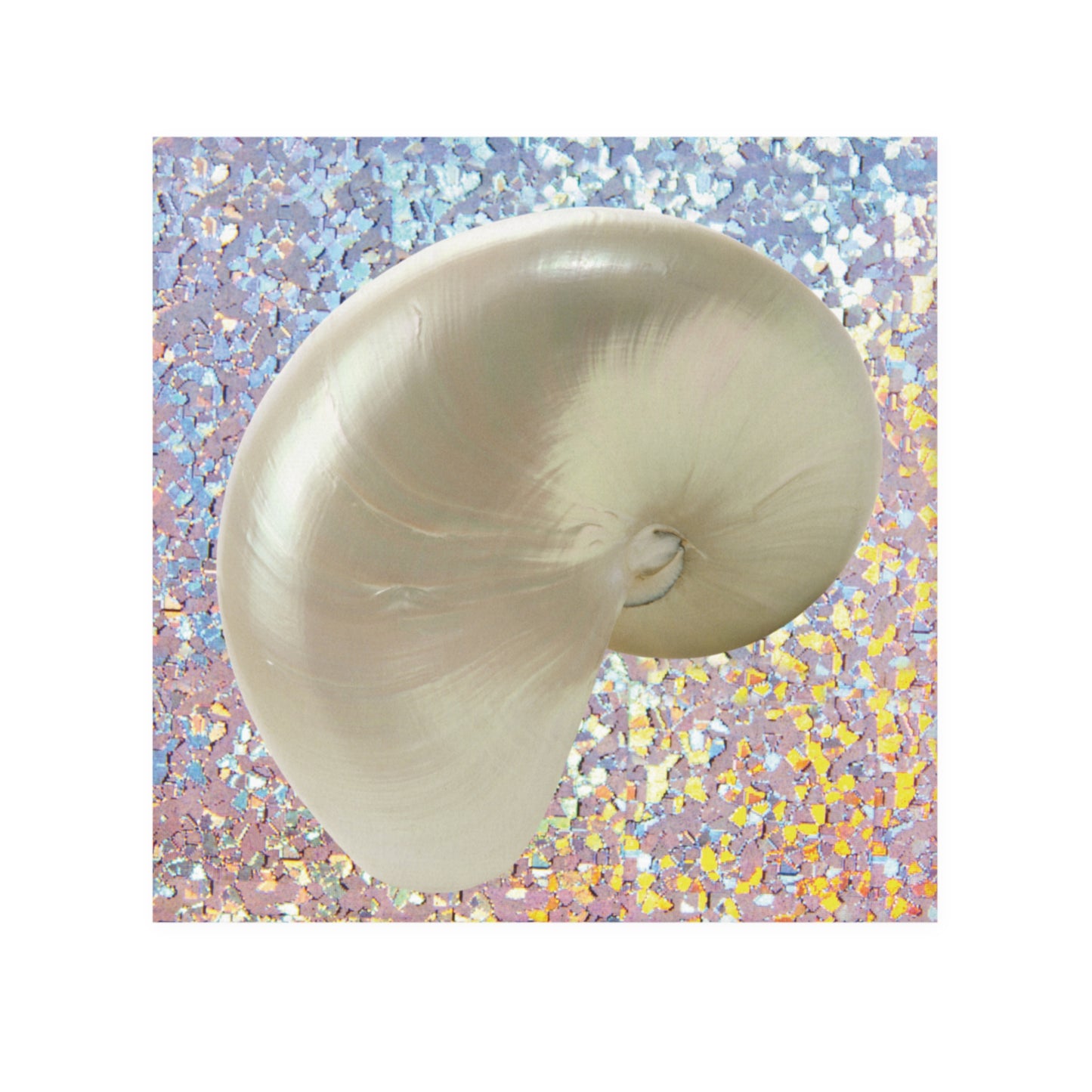 Face Towel - Disco White Nautilus Shell