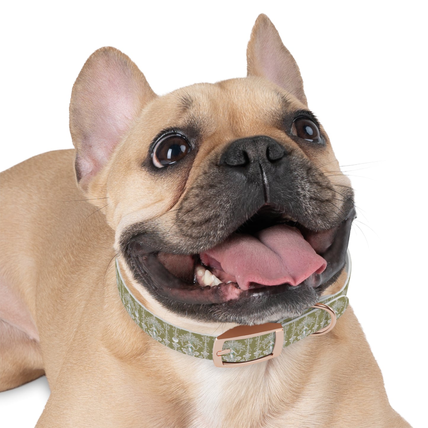 Dog Collar - Pearl Lady Toile, highborn green