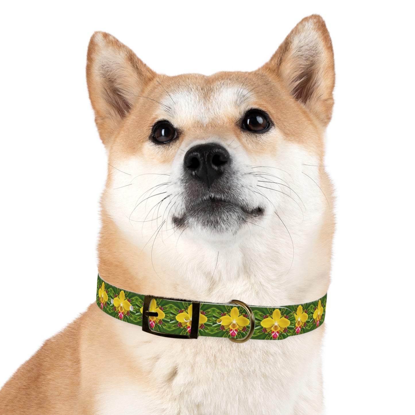 Dog Collar - Yellow Orchid Kaleidoscope